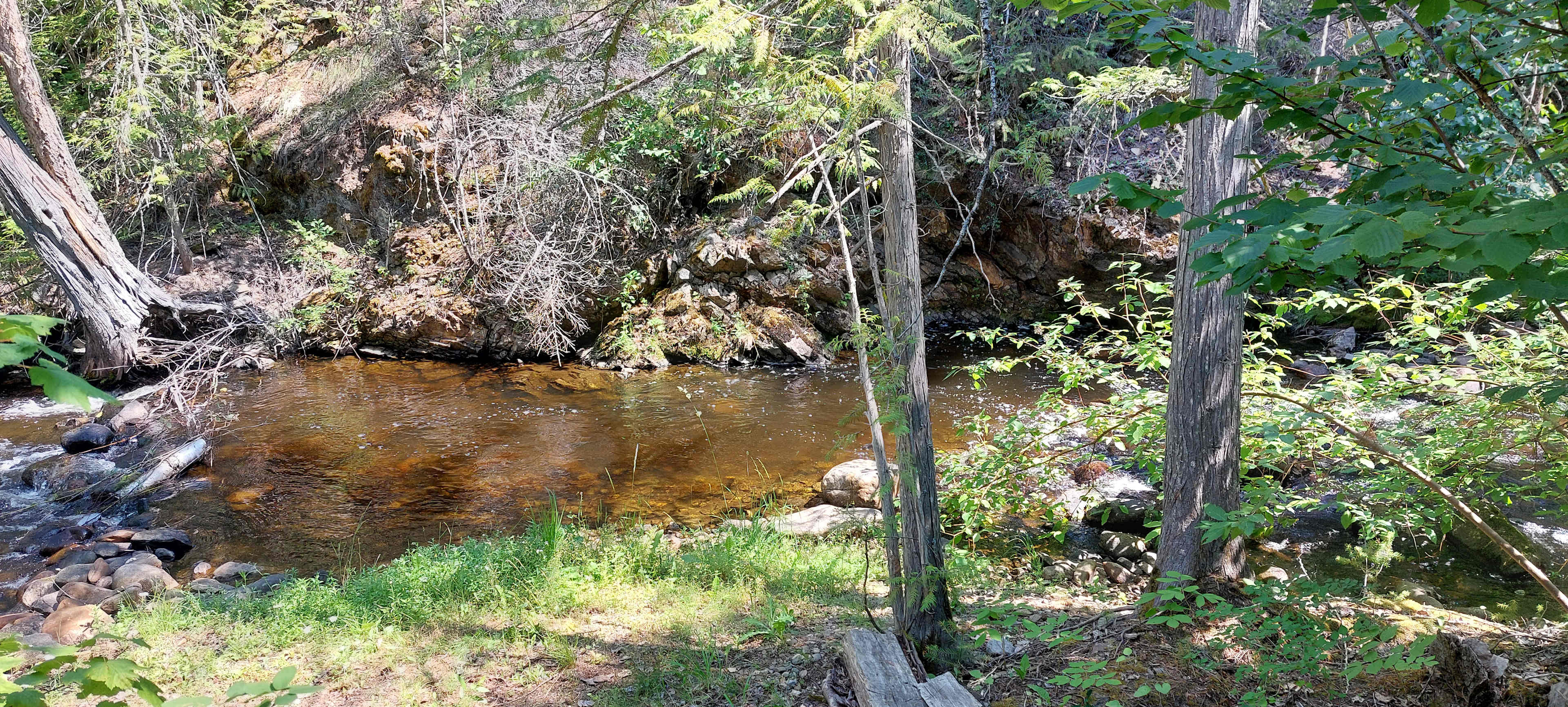 Picture of the site