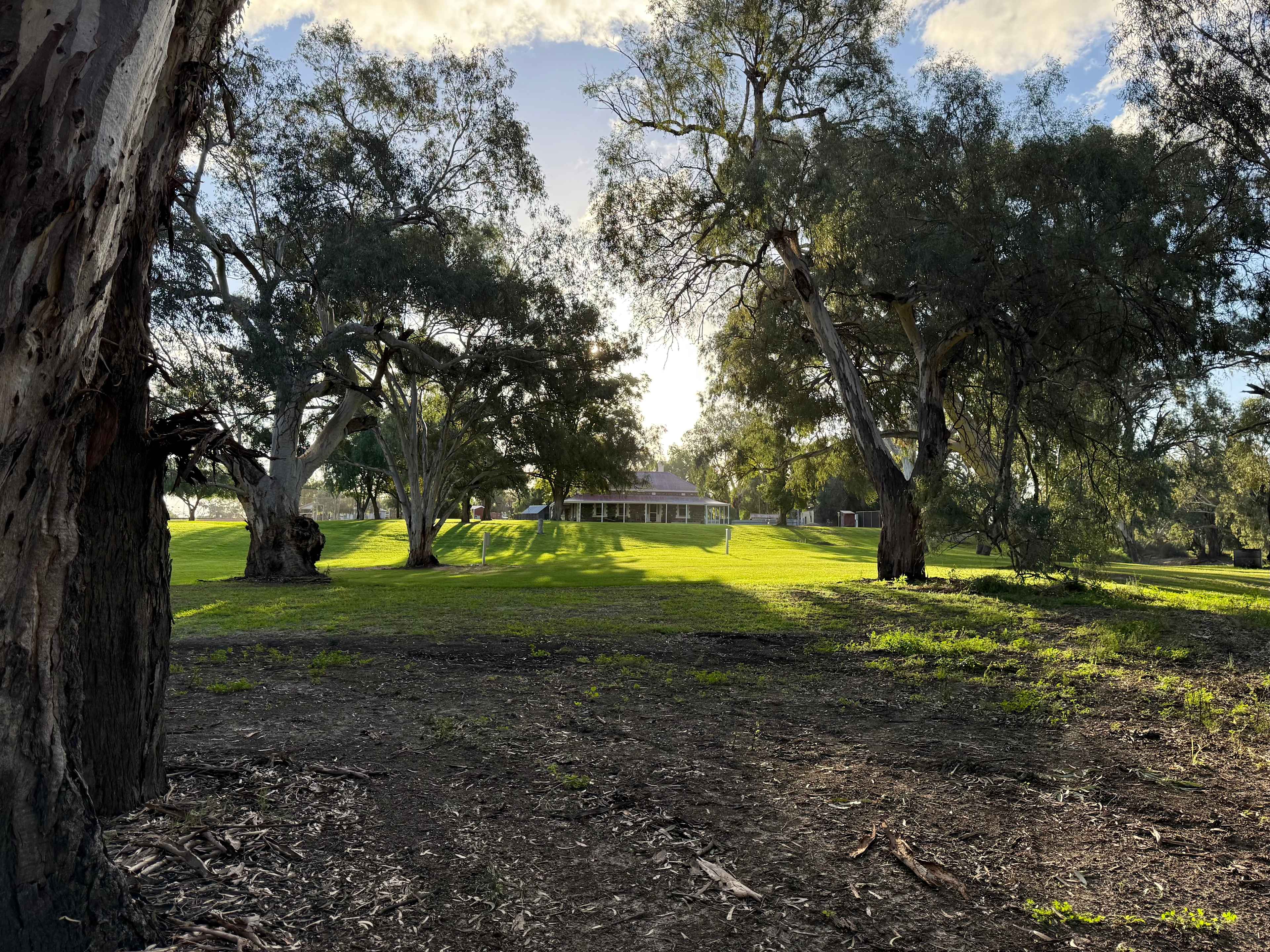 Picture of the site