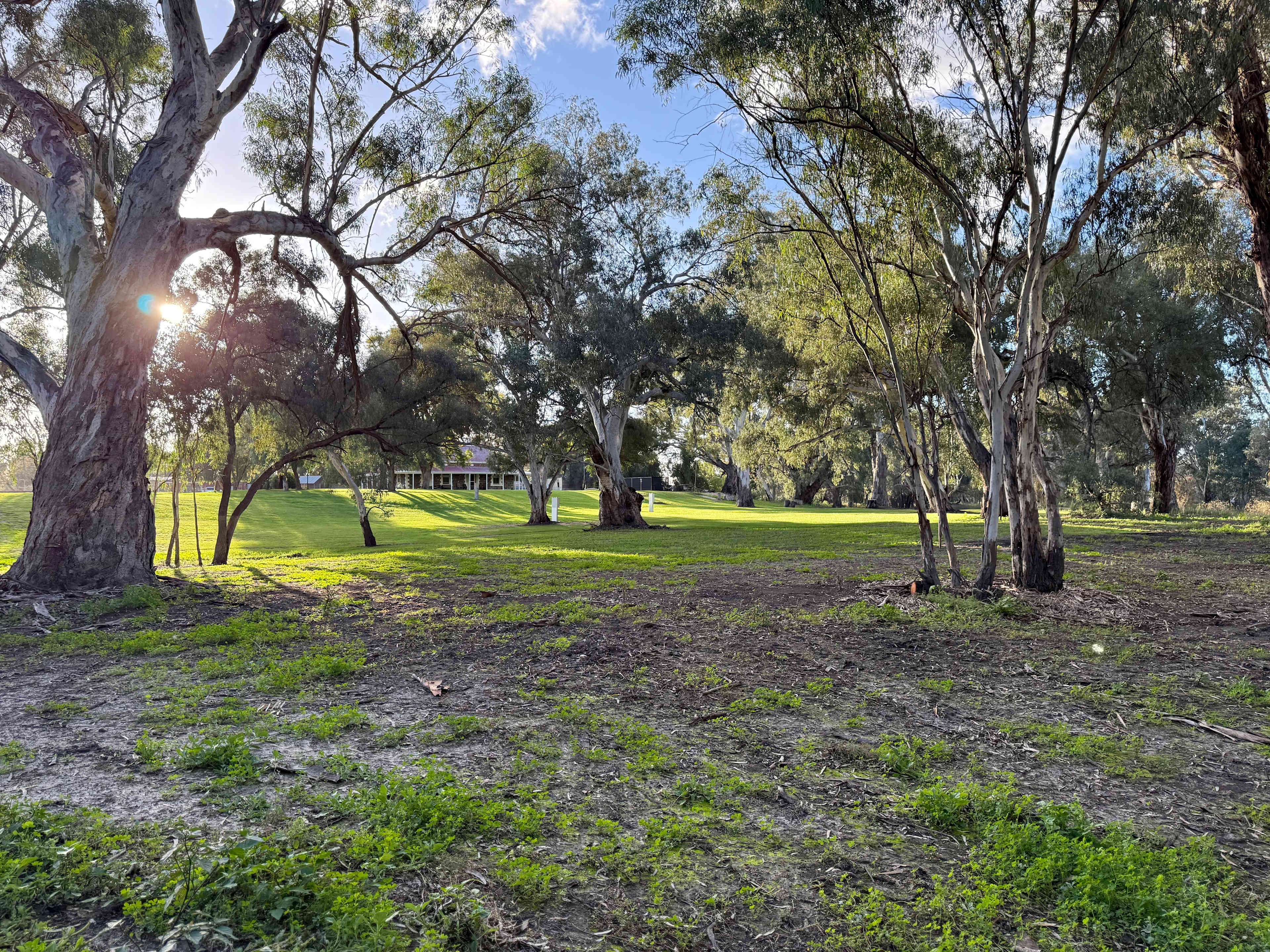Picture of the site