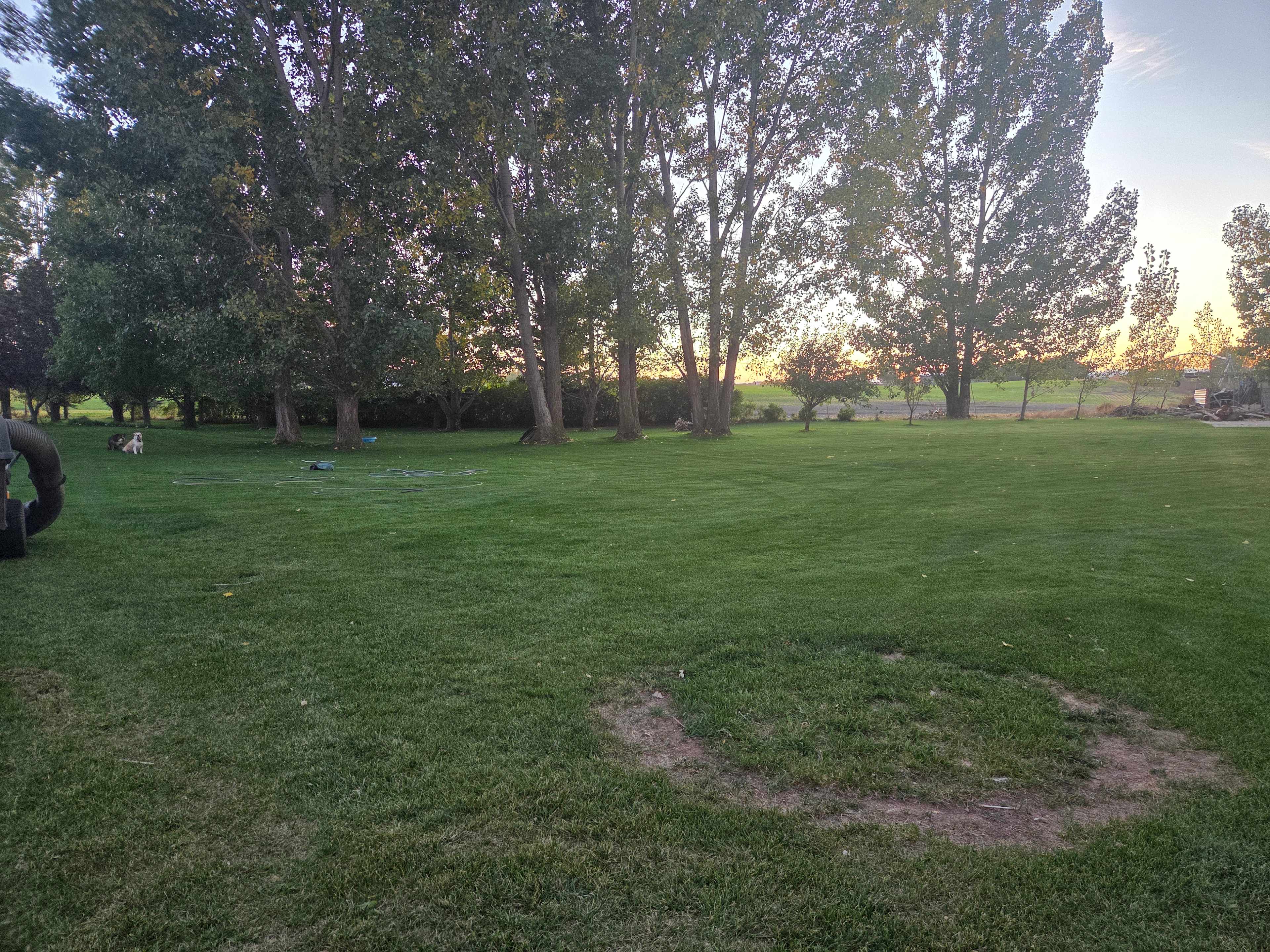 Picture of the site