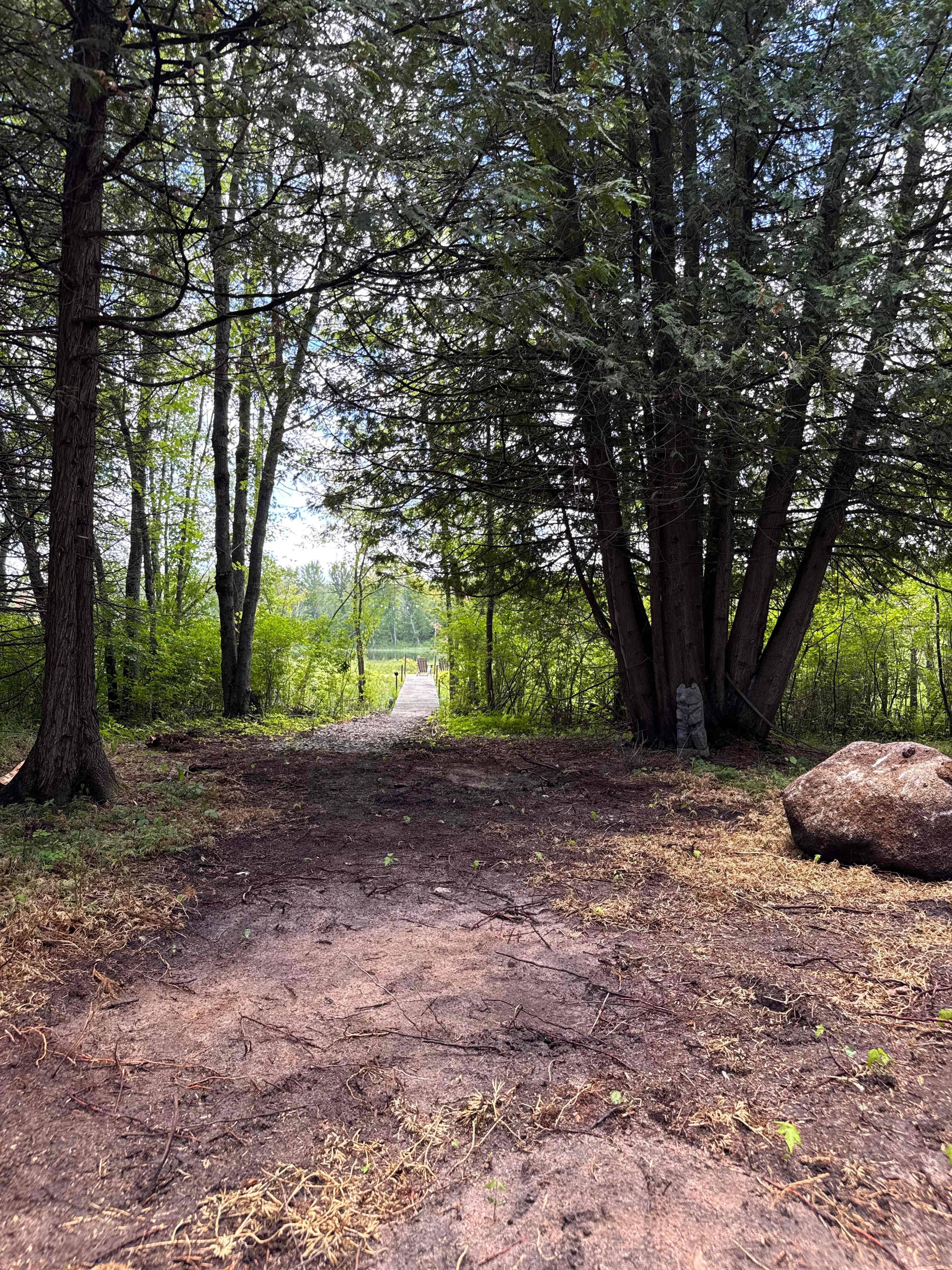 Picture of the site
