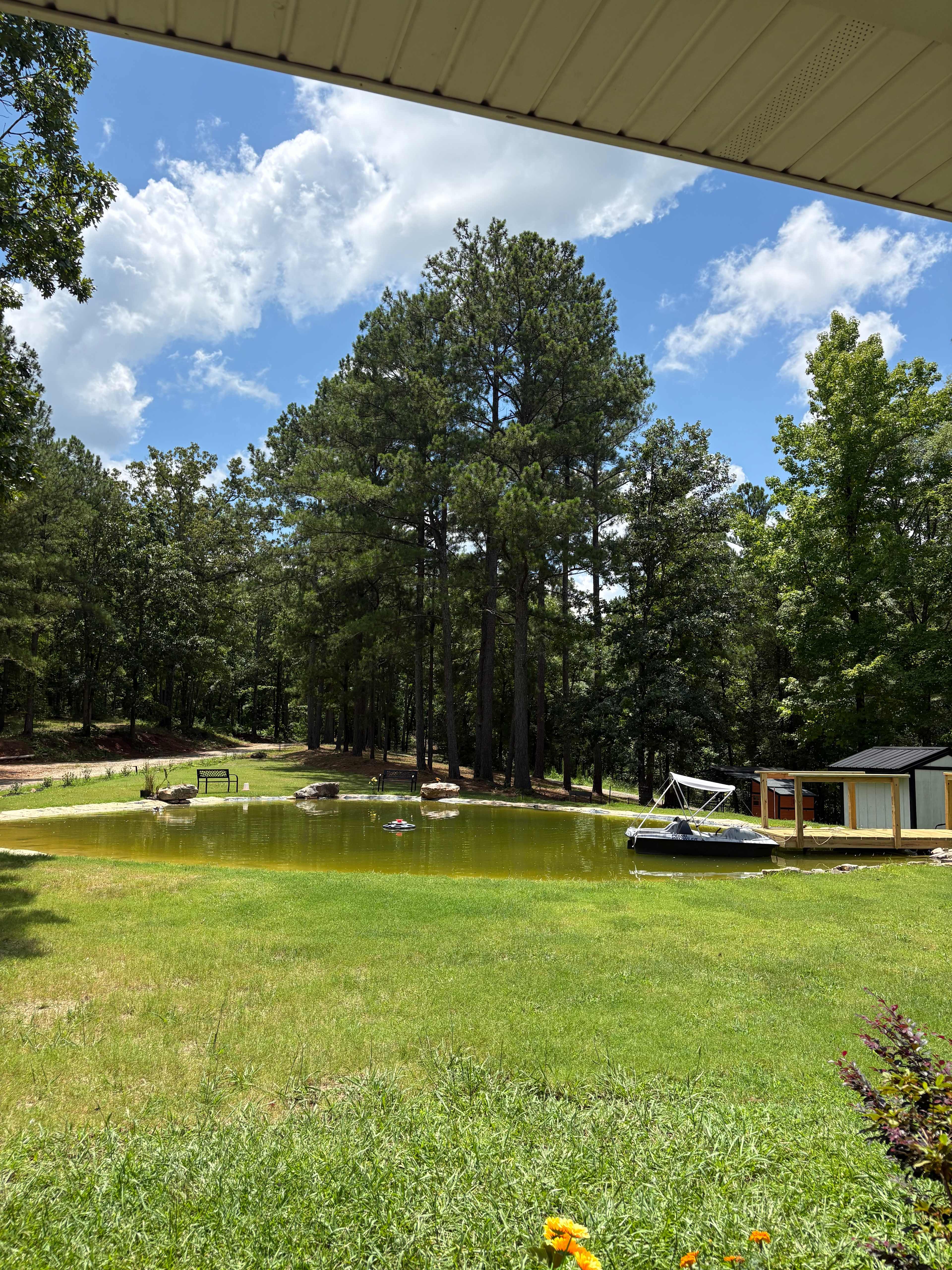 Picture of the site