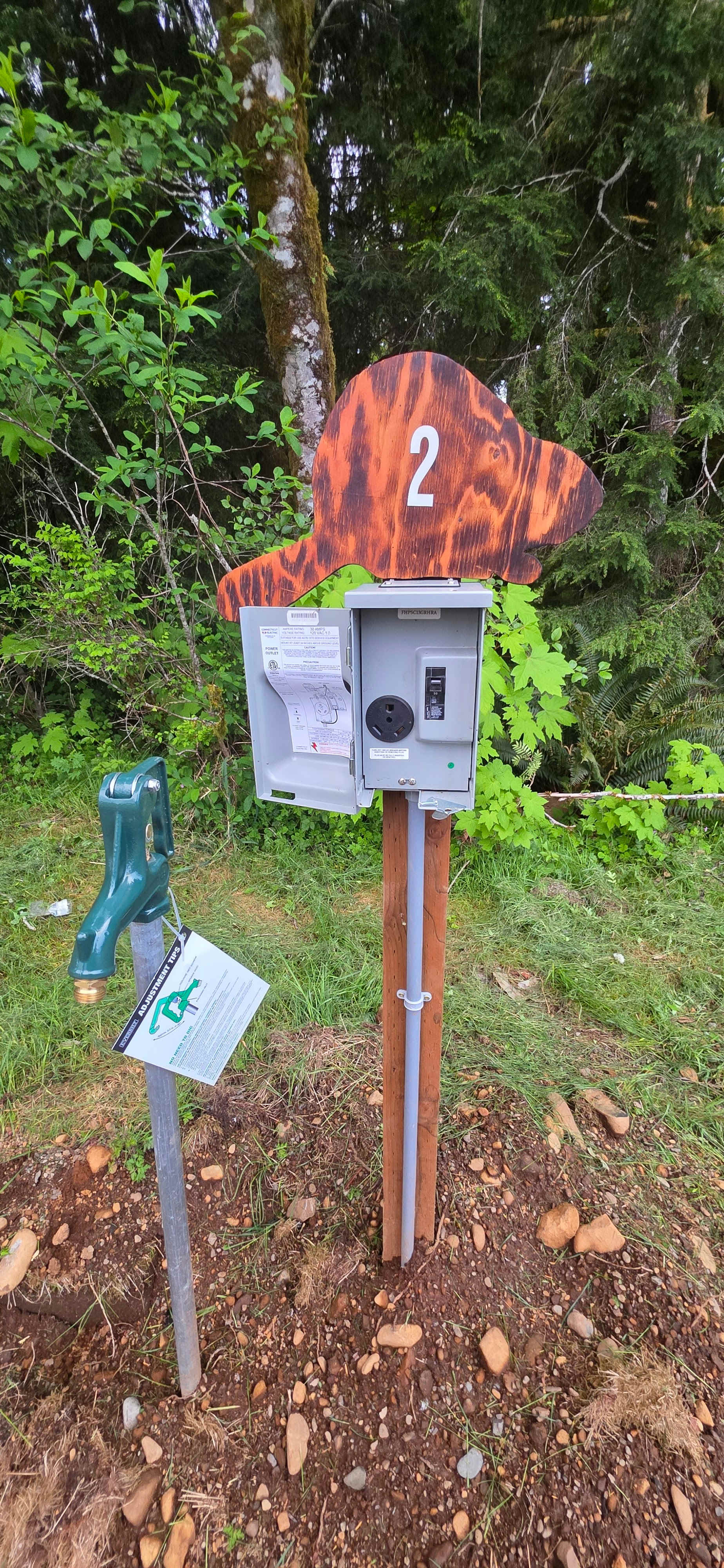 Picture of the site