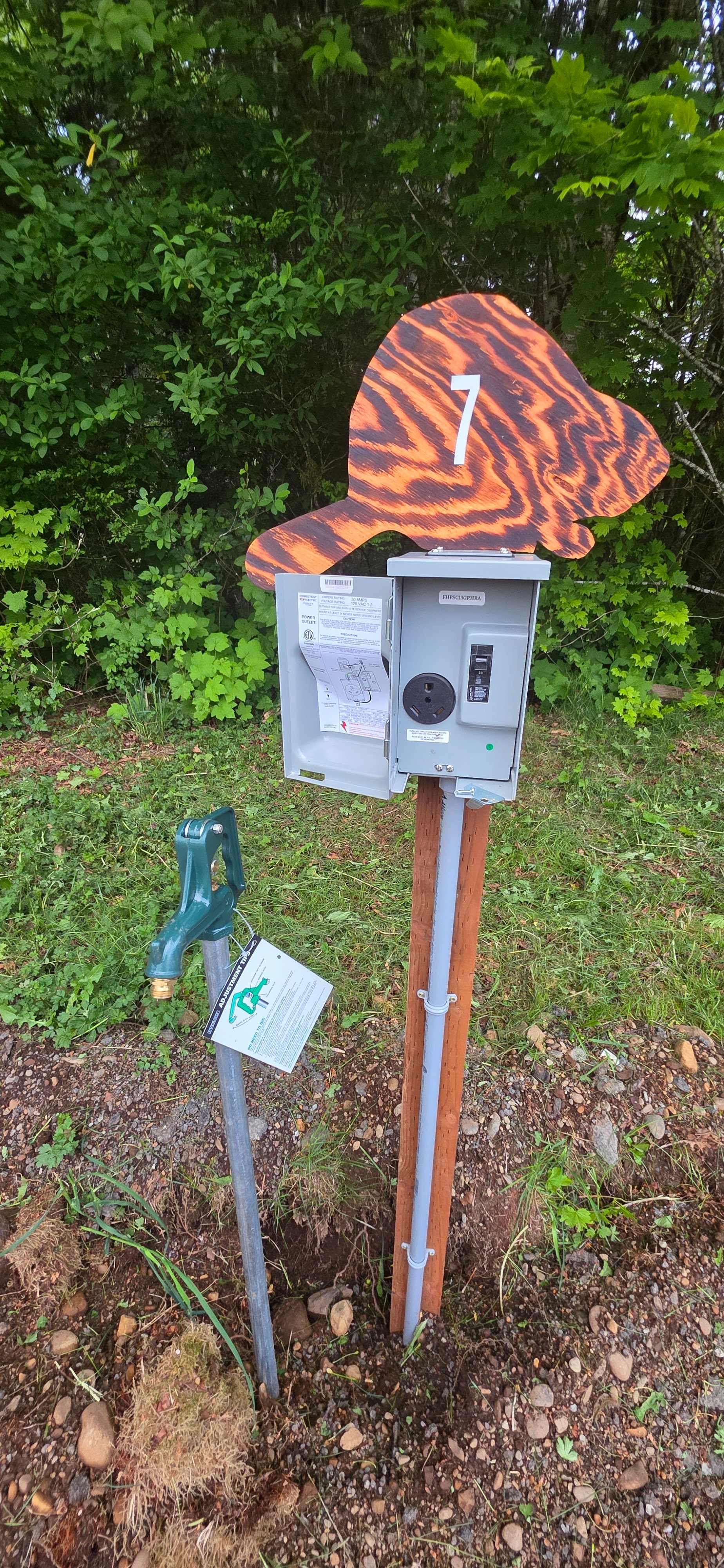 Picture of the site