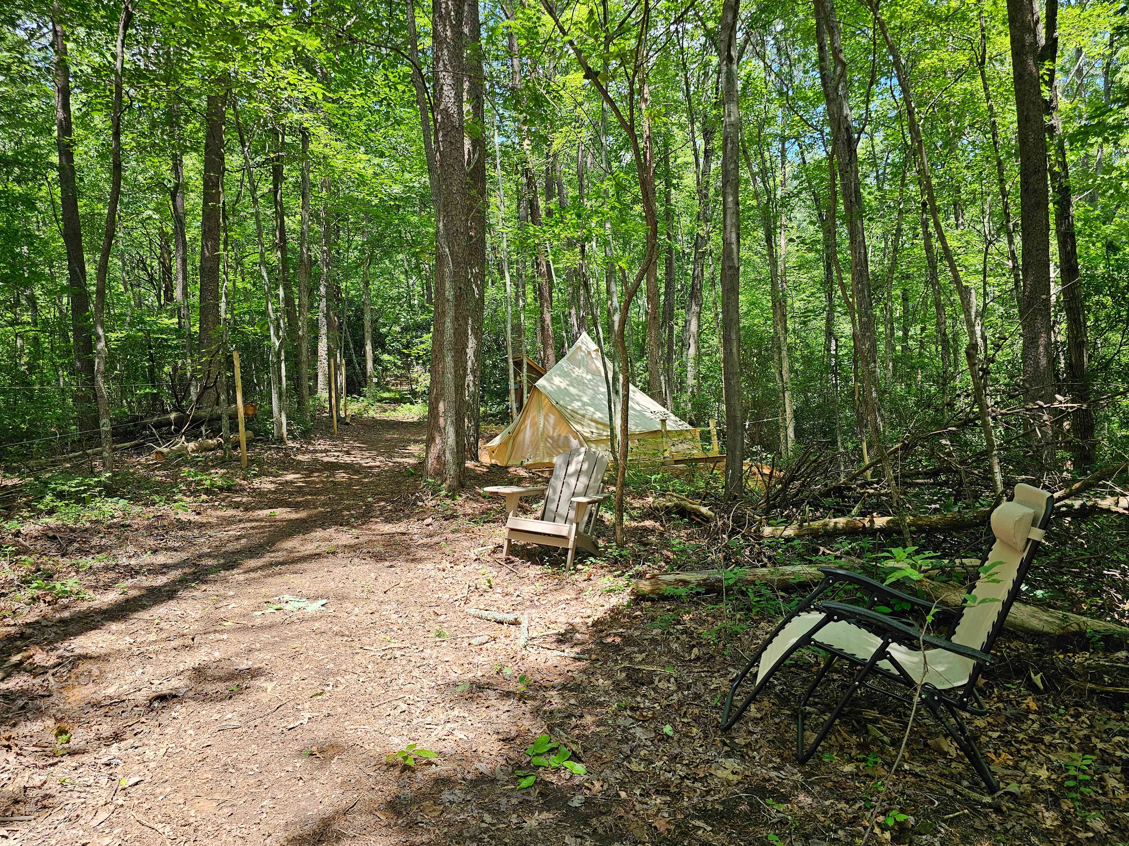 Picture of the site