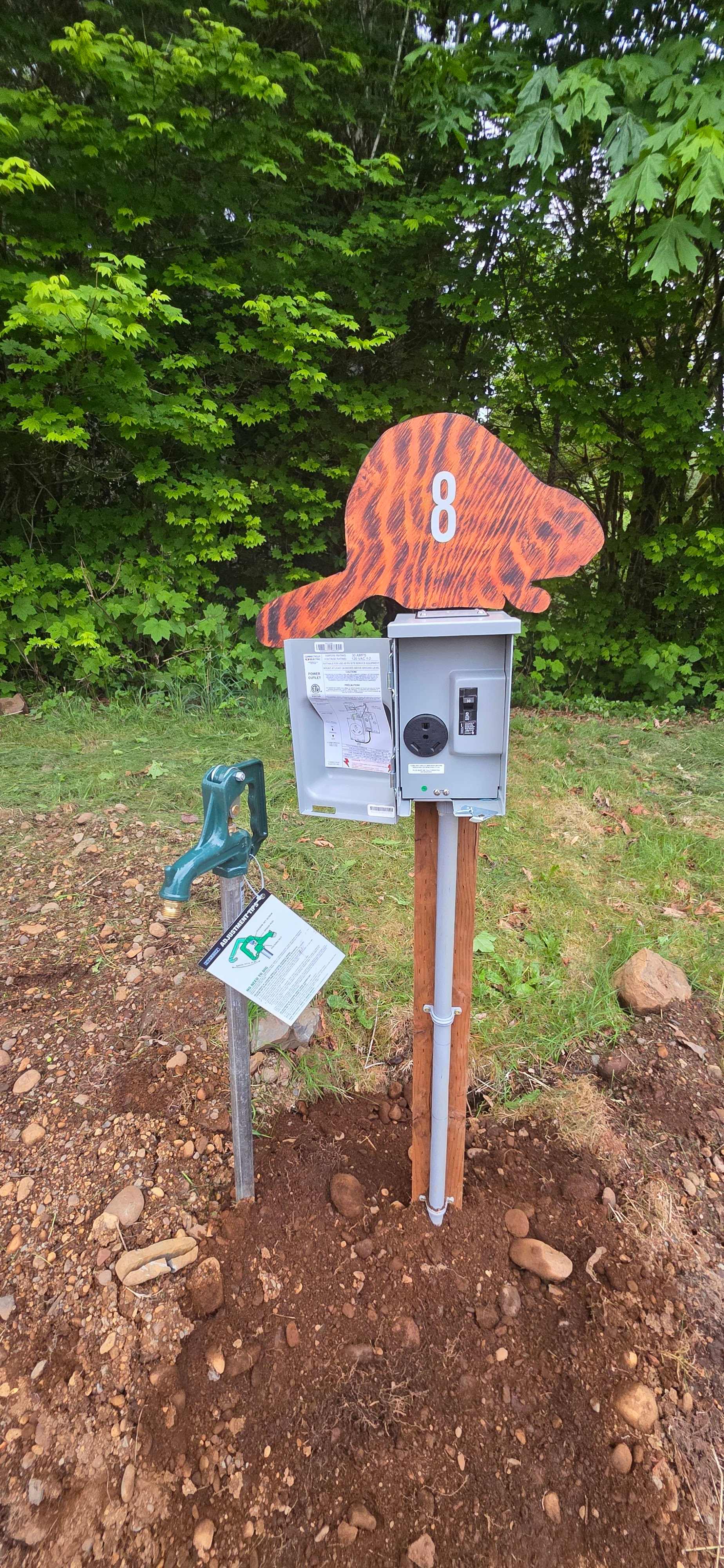 Picture of the site