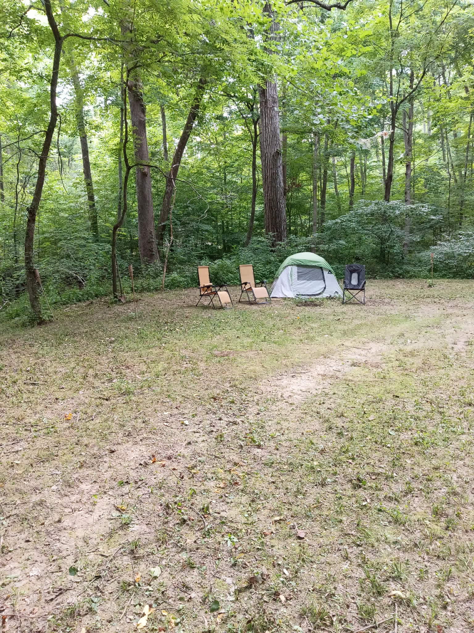 Picture of the site