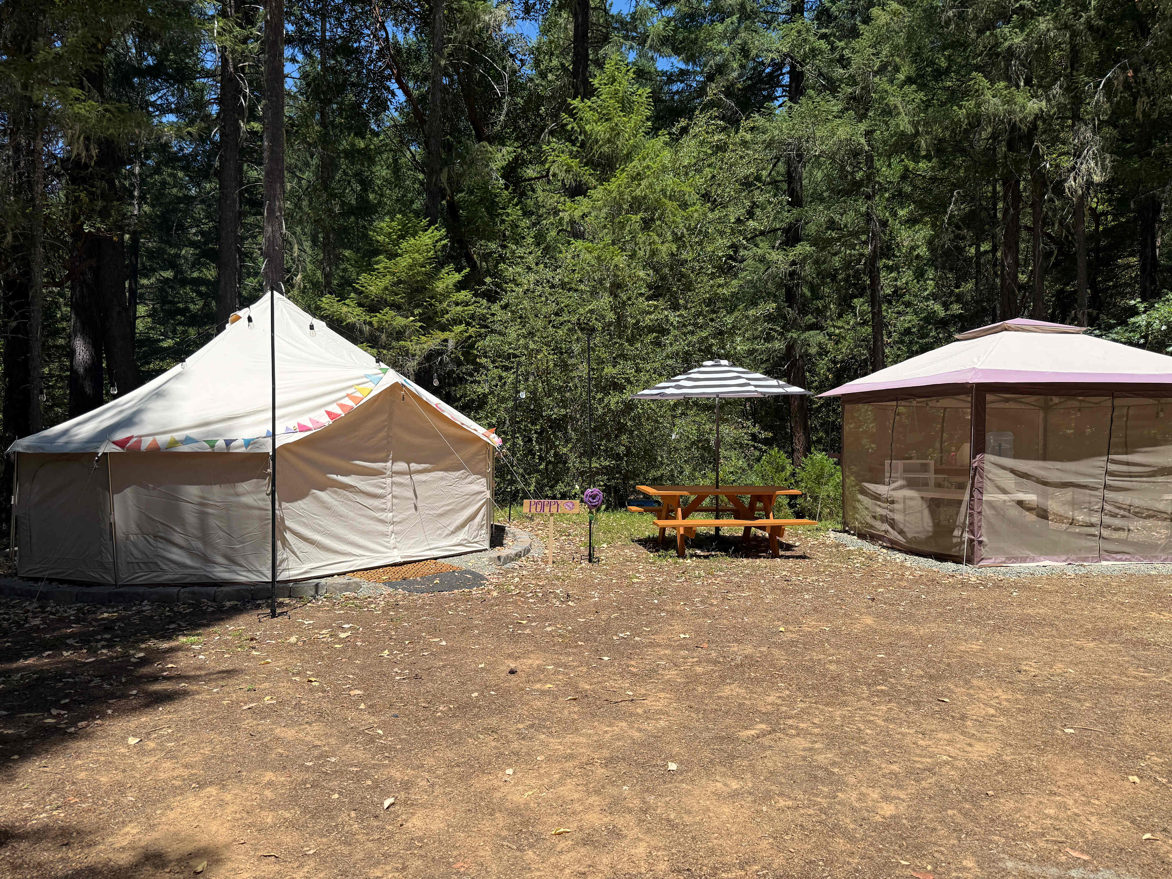 Picture of the site