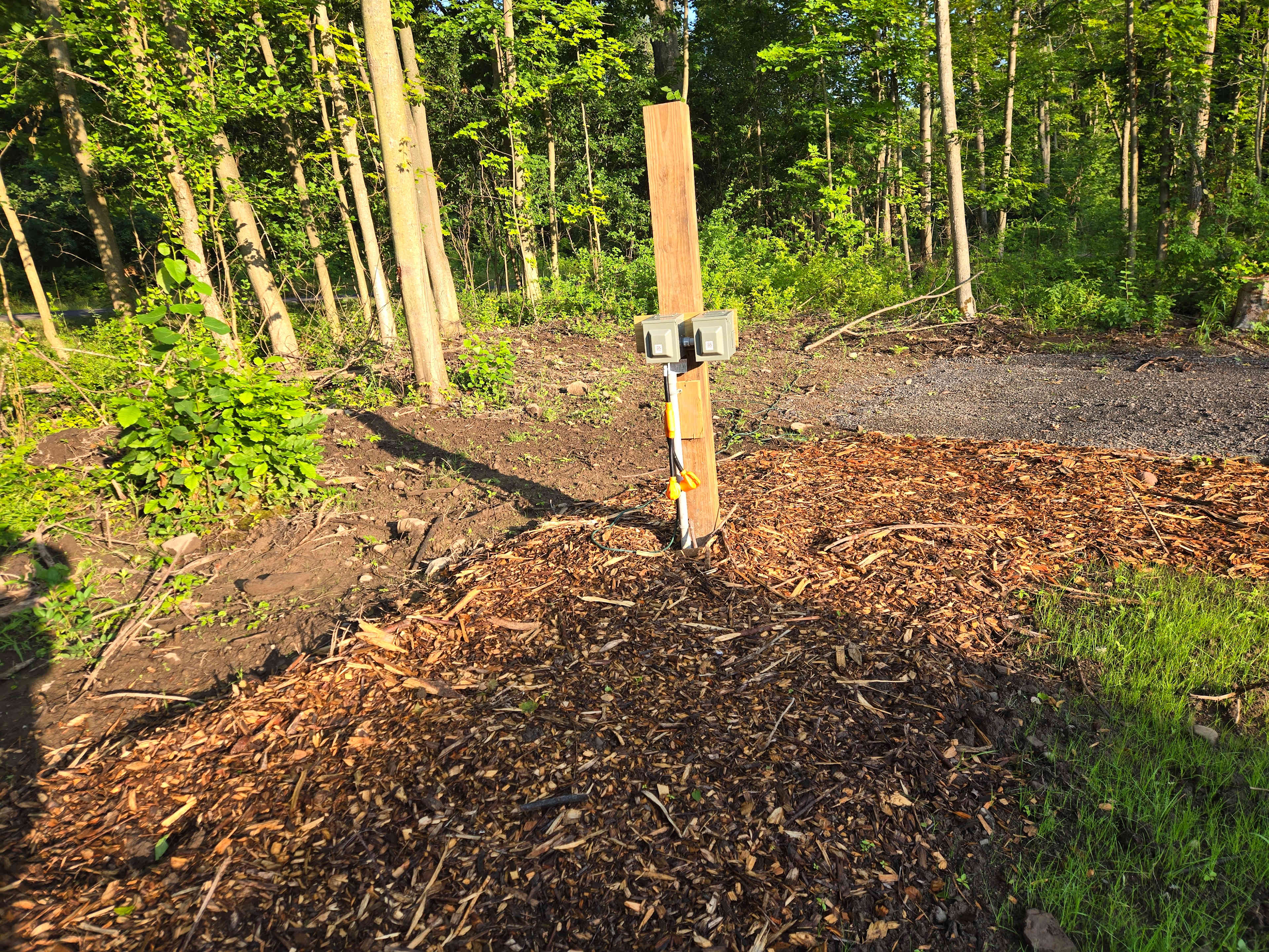 Picture of the site