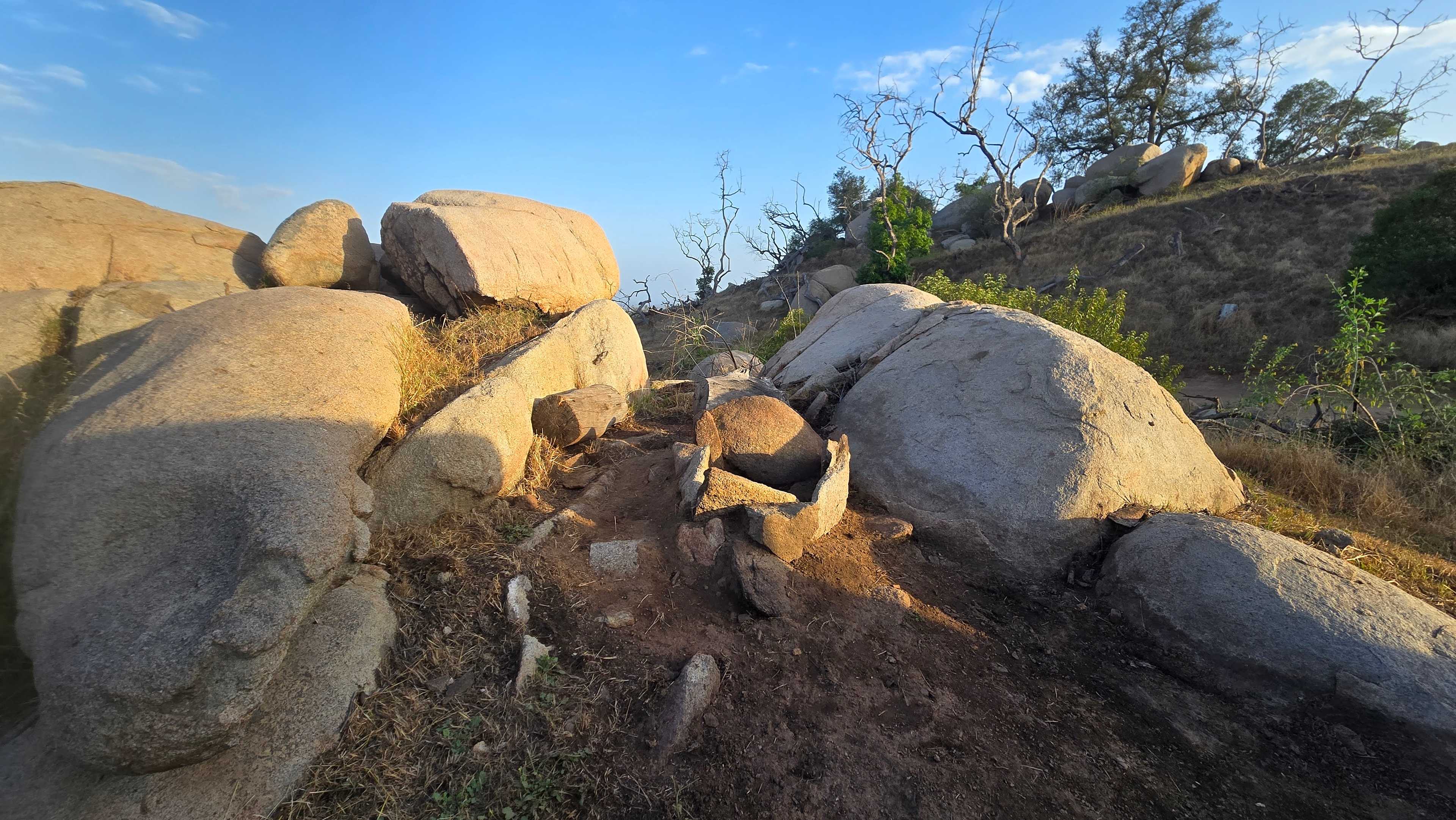 Picture of the site
