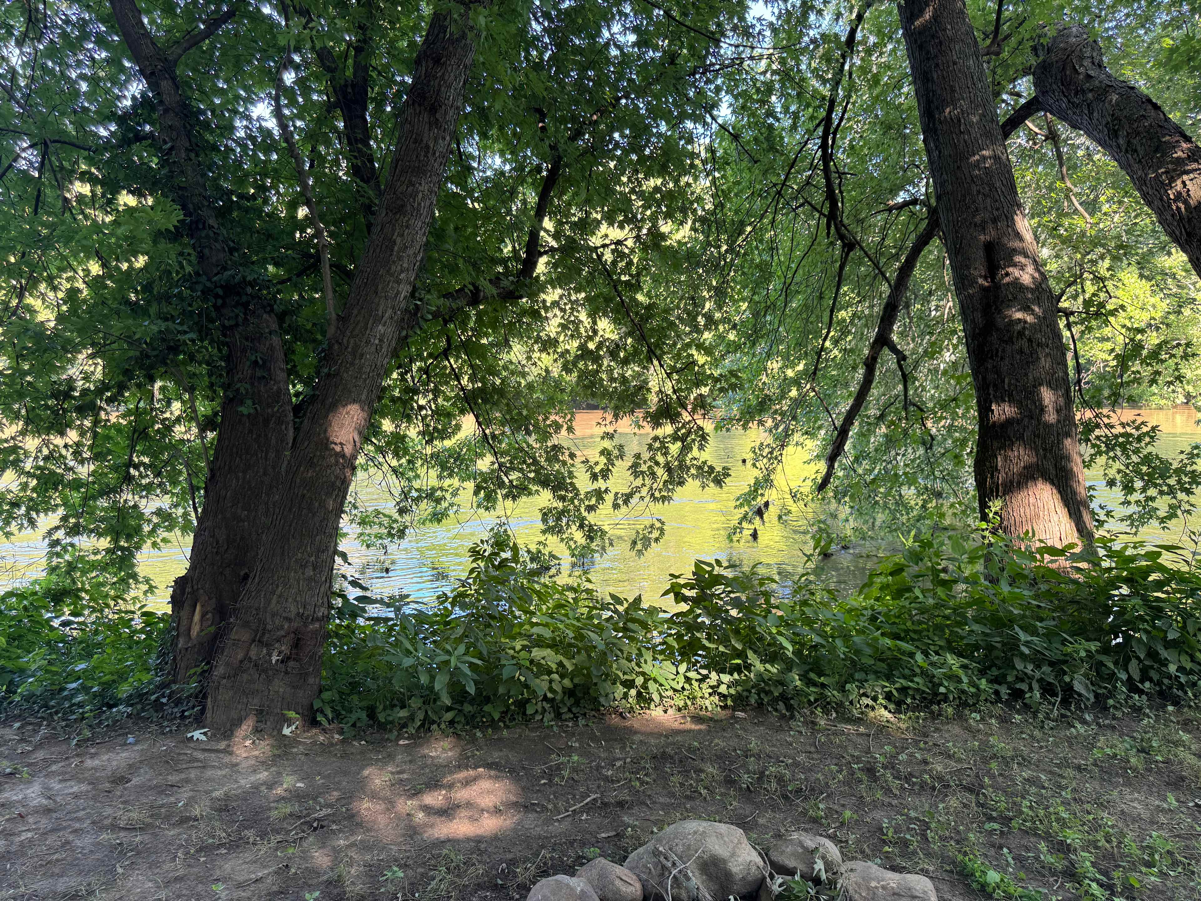 Picture of the site