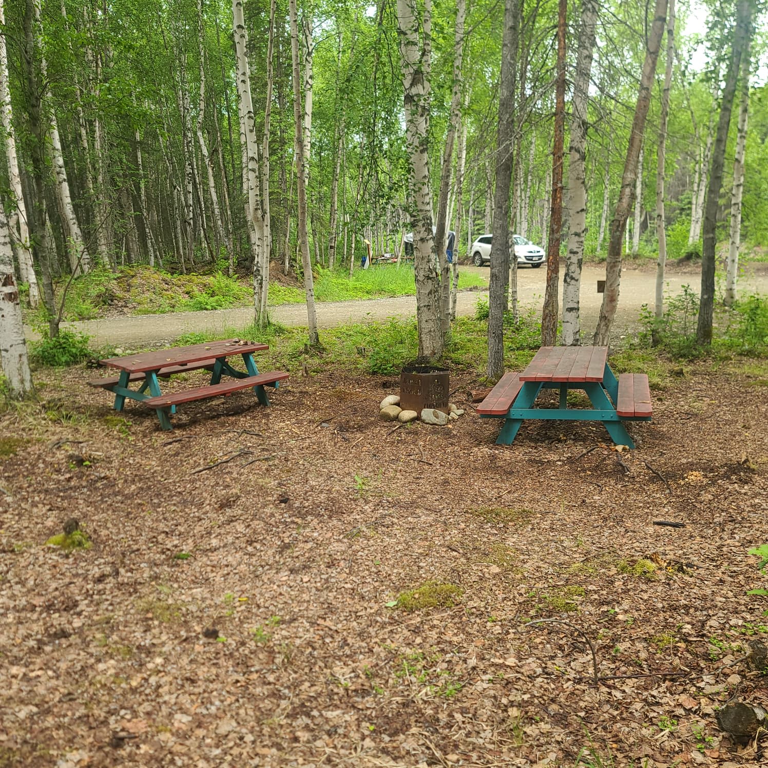 Picture of the site