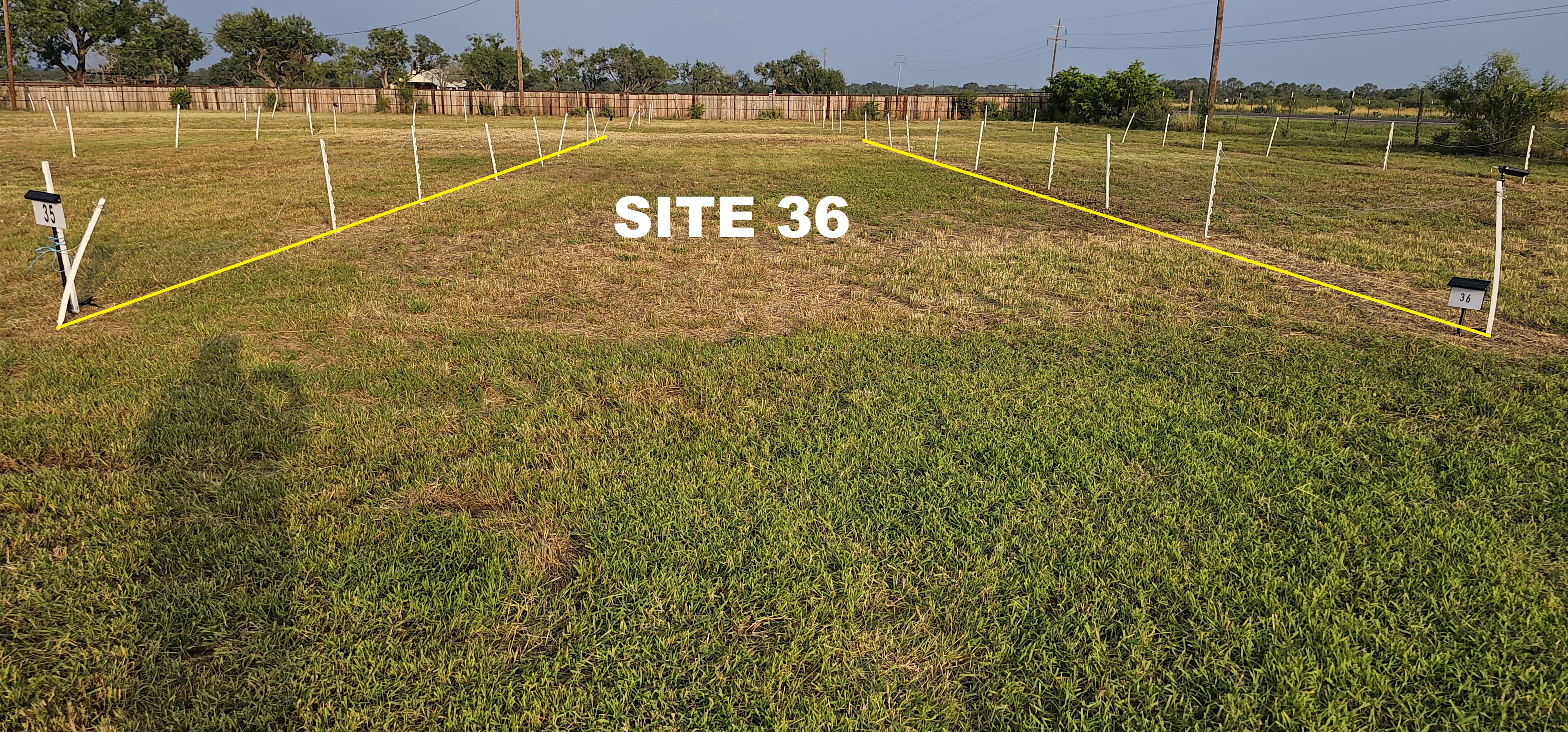 Picture of the site