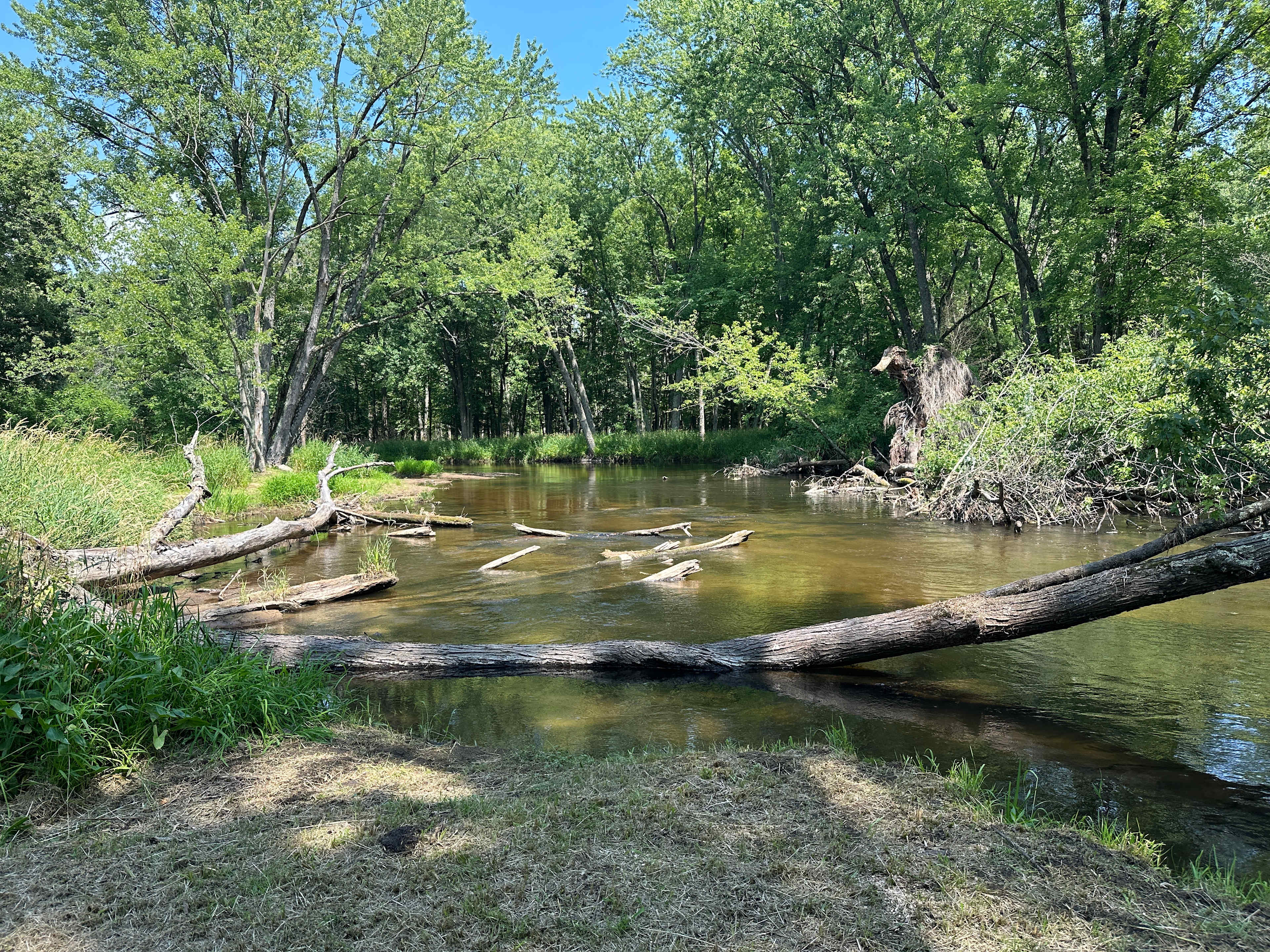 Picture of the site