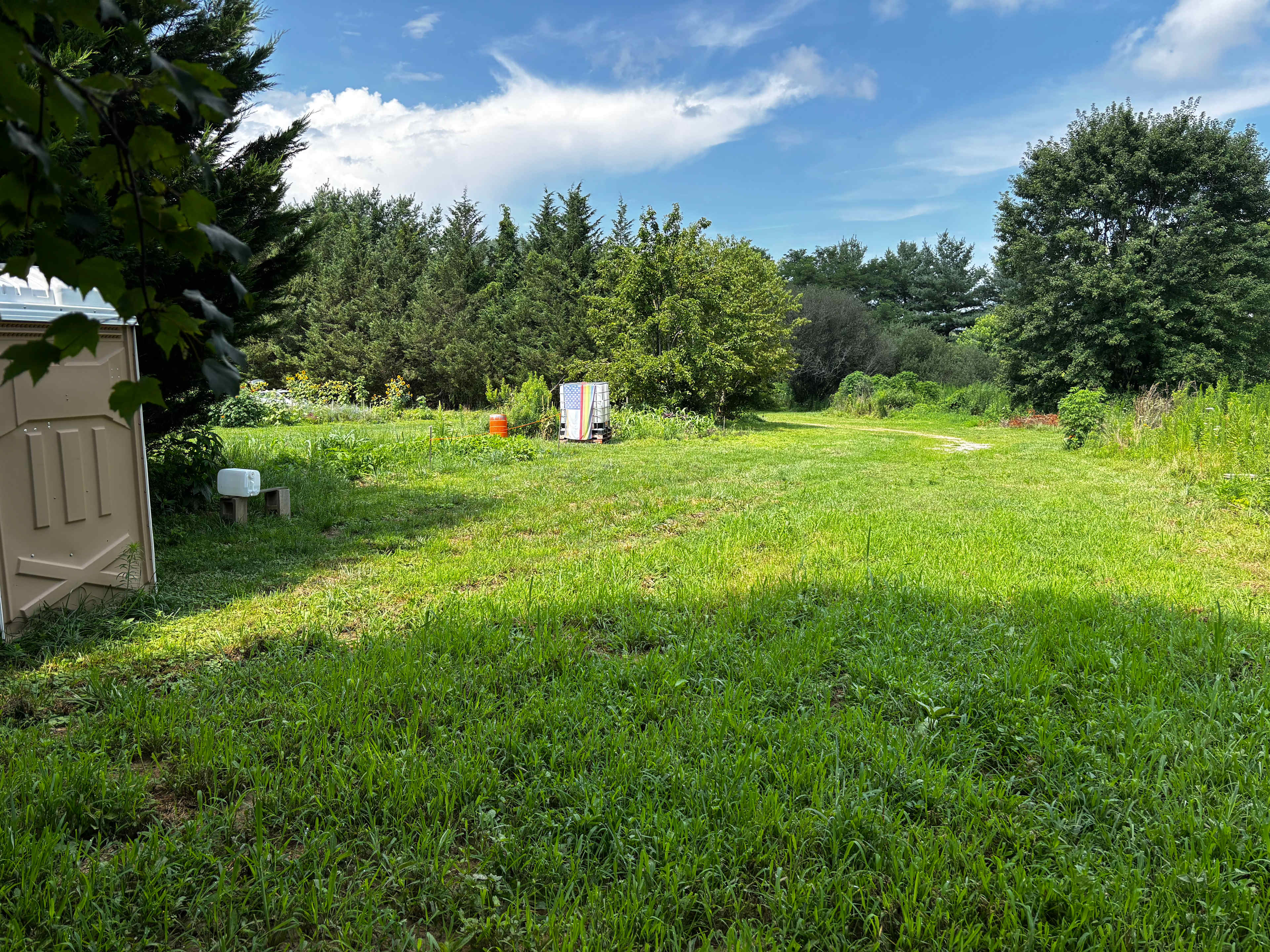 Picture of the site