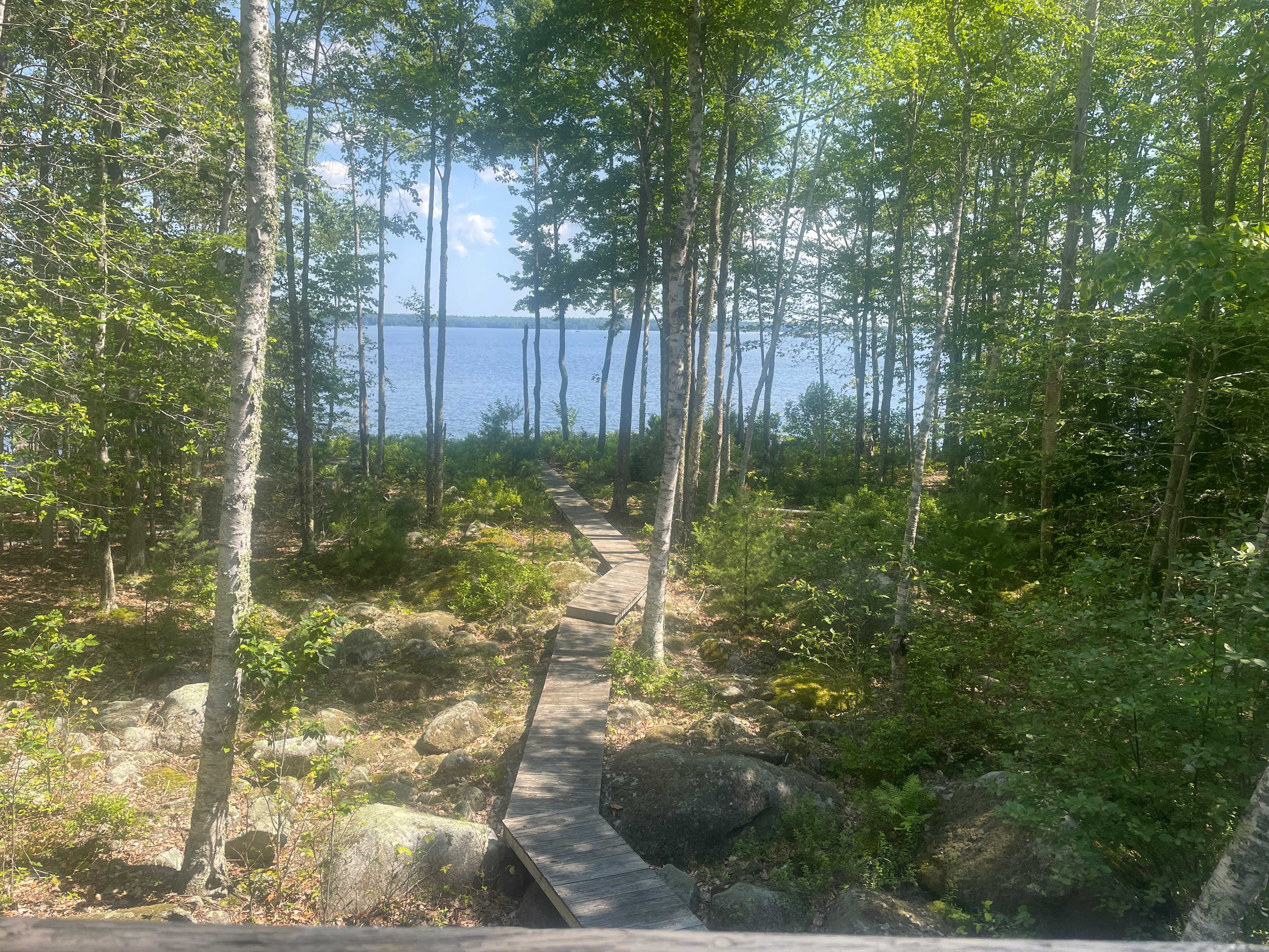 Picture of the site