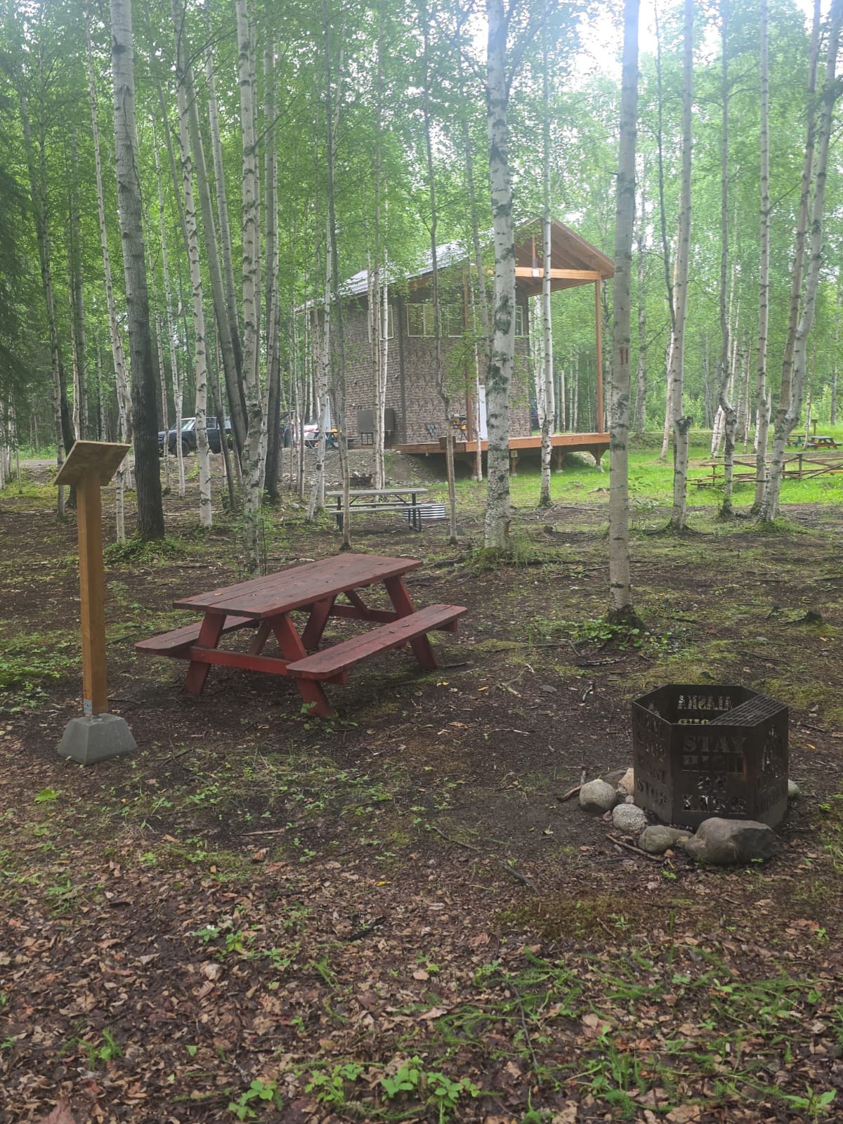 Picture of the site