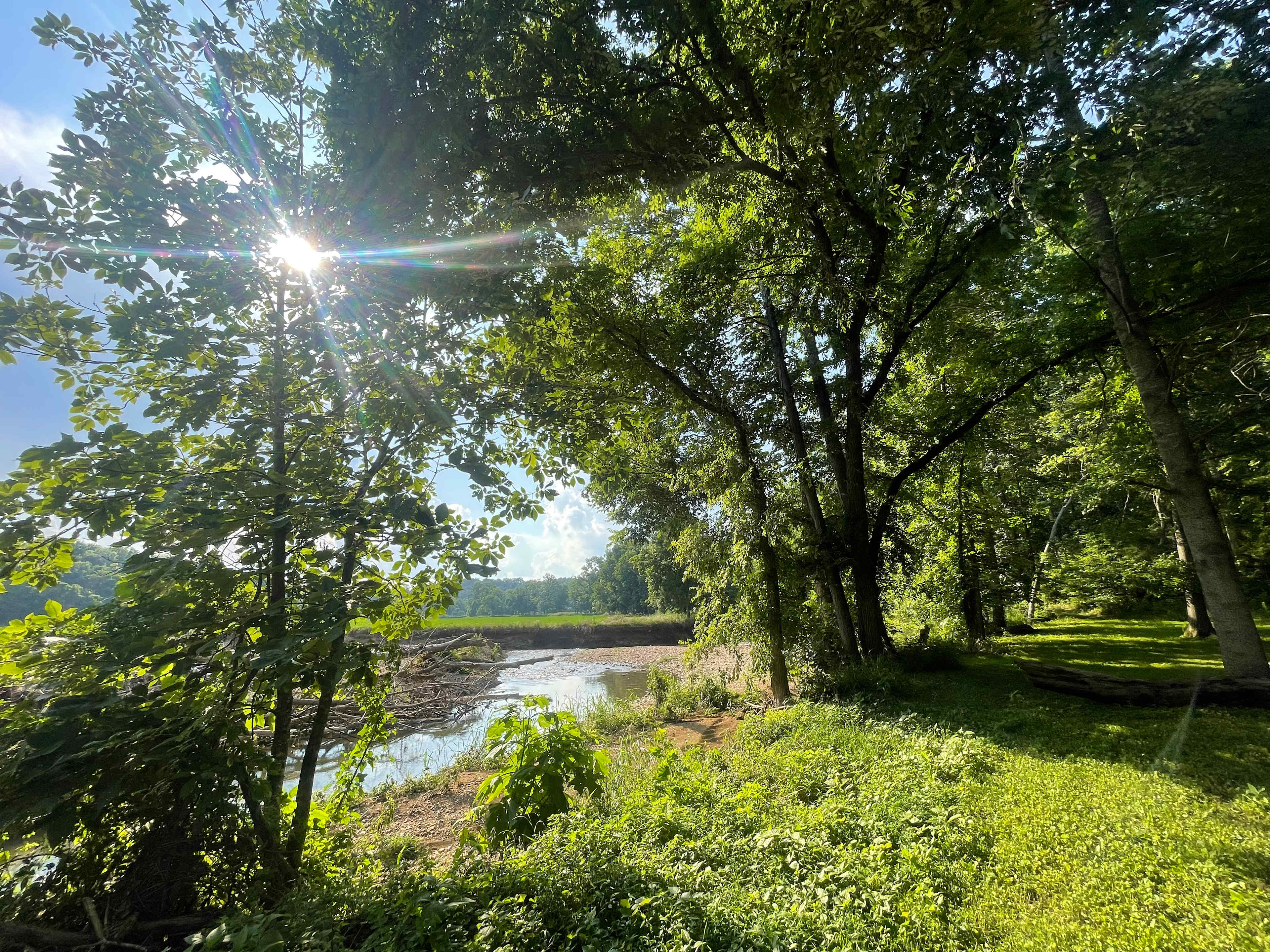 Picture of the site