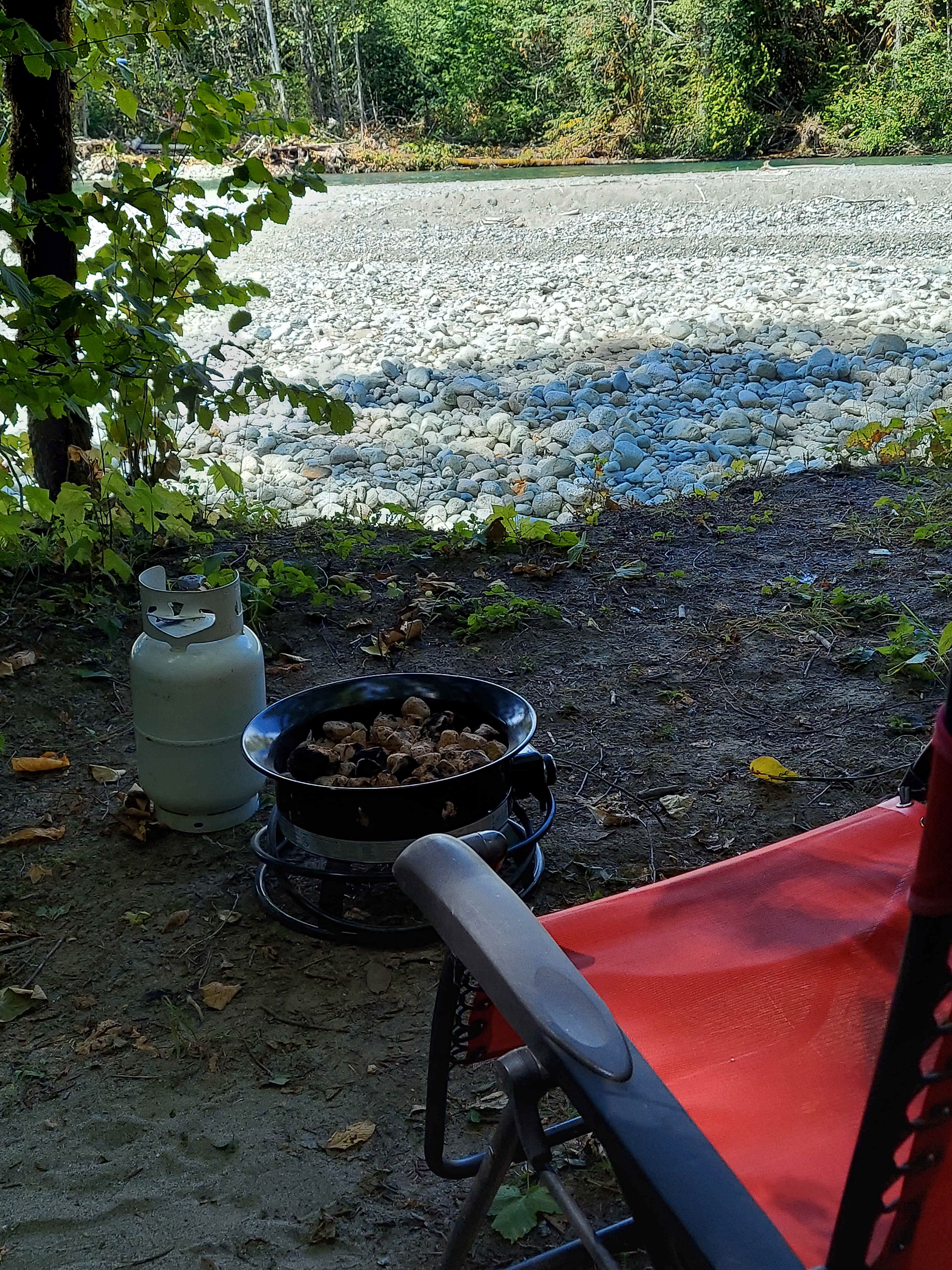 Picture of the site