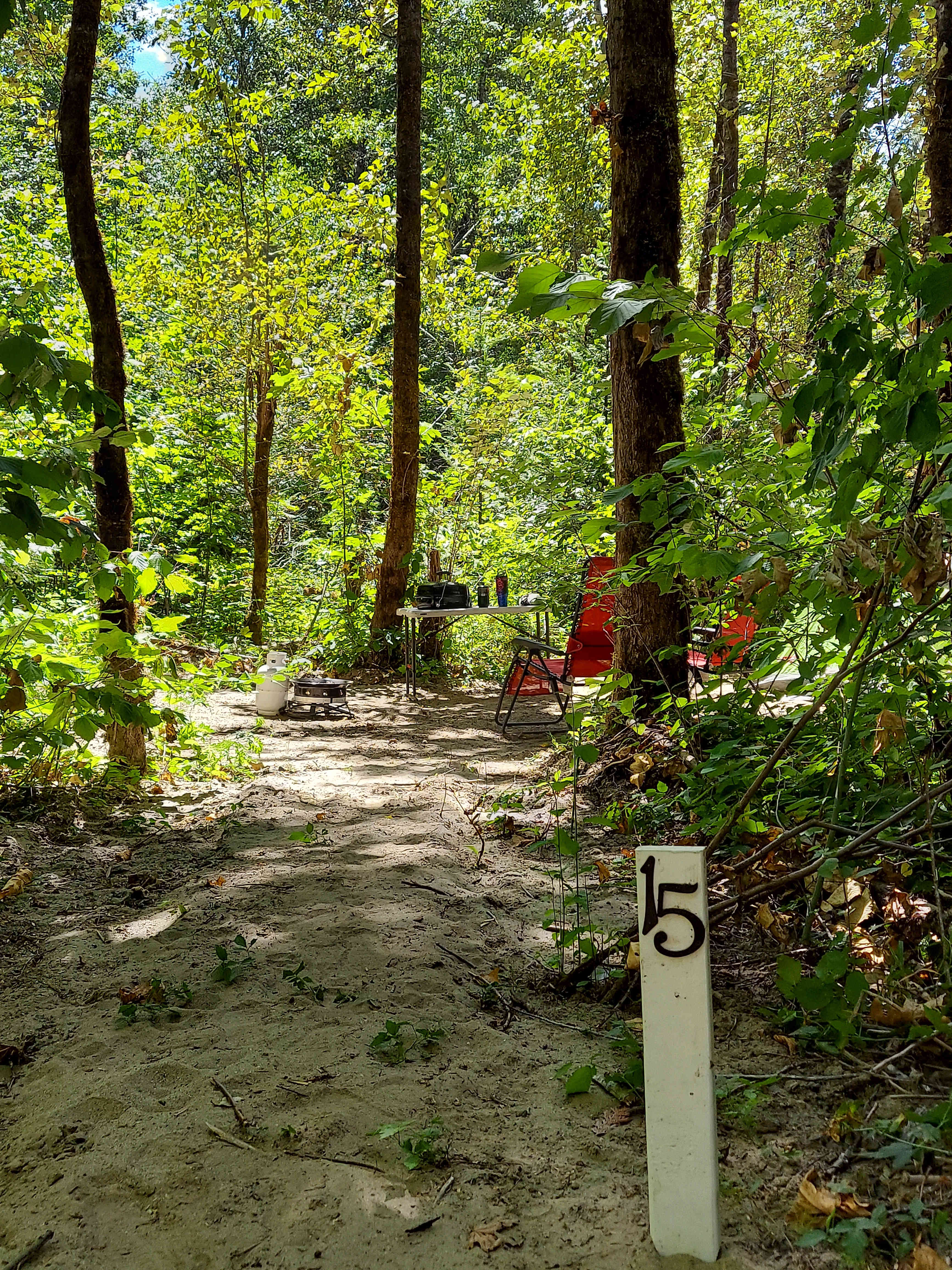 Picture of the site