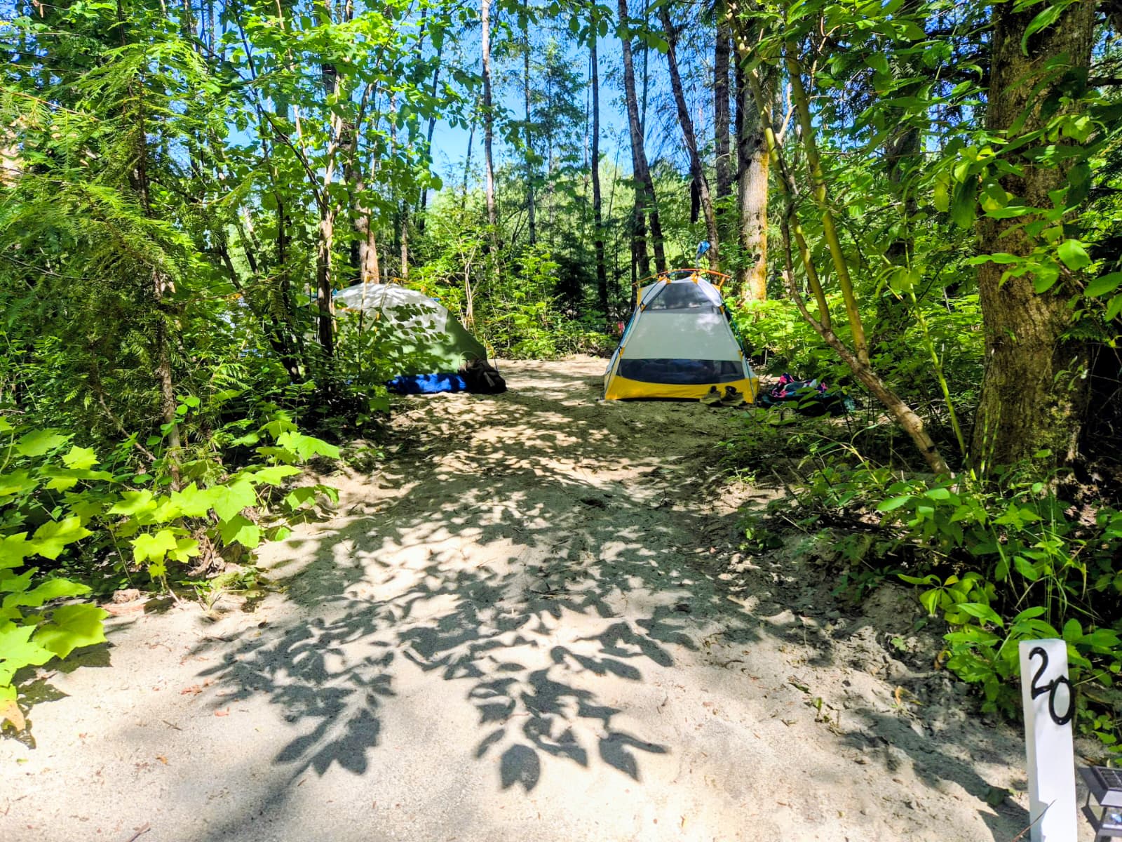 Picture of the site