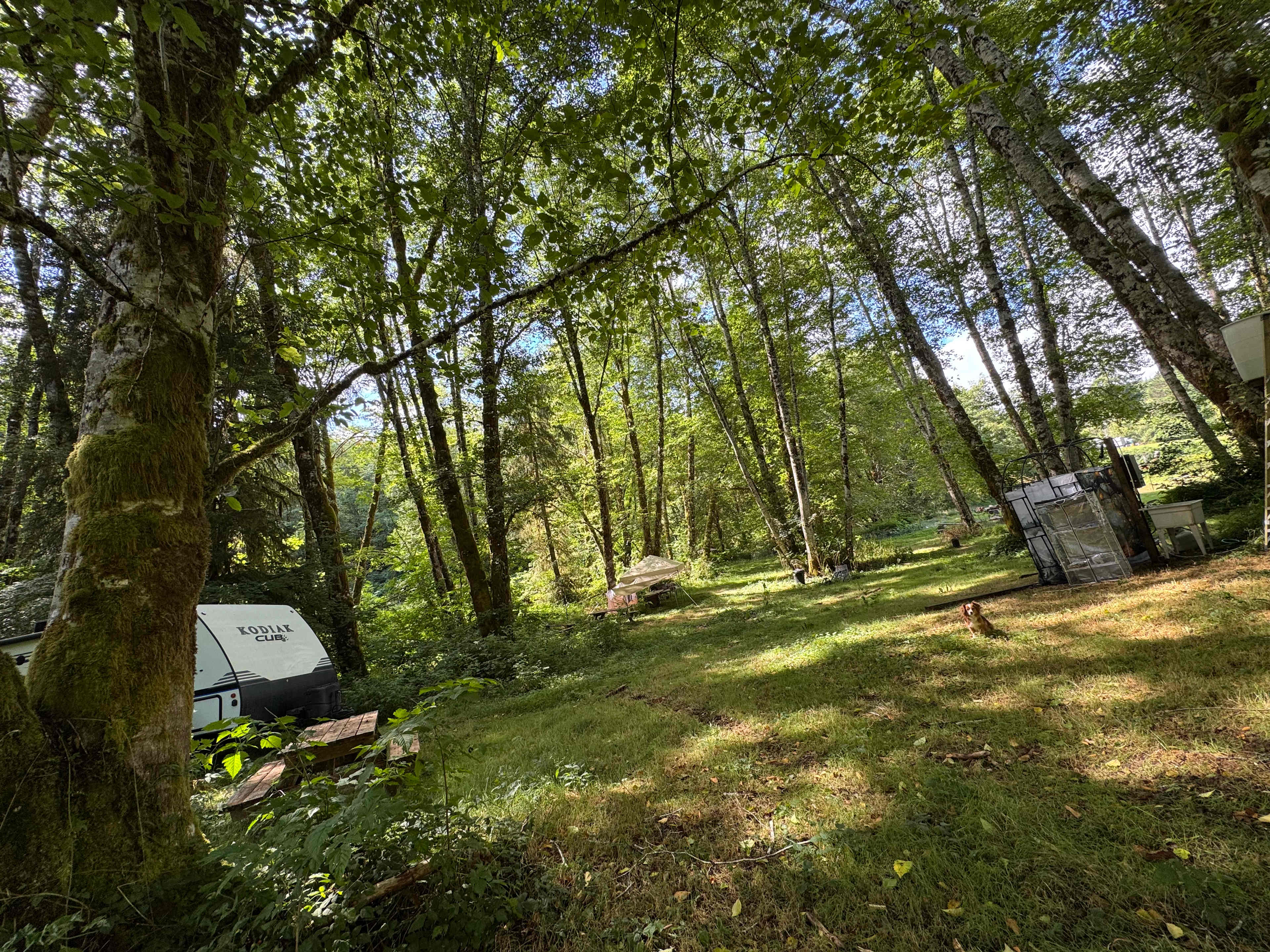 Picture of the site