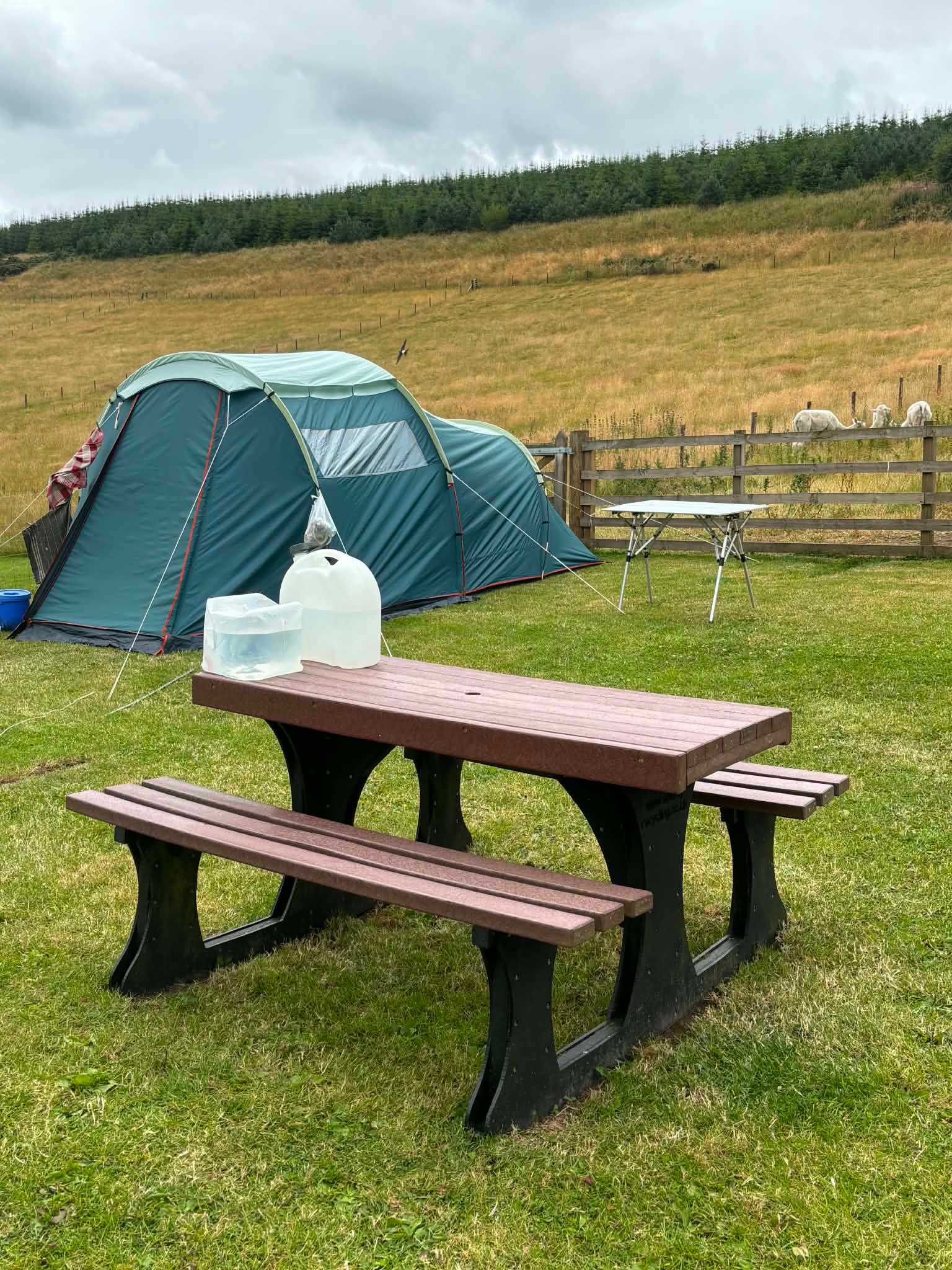 Picture of the site