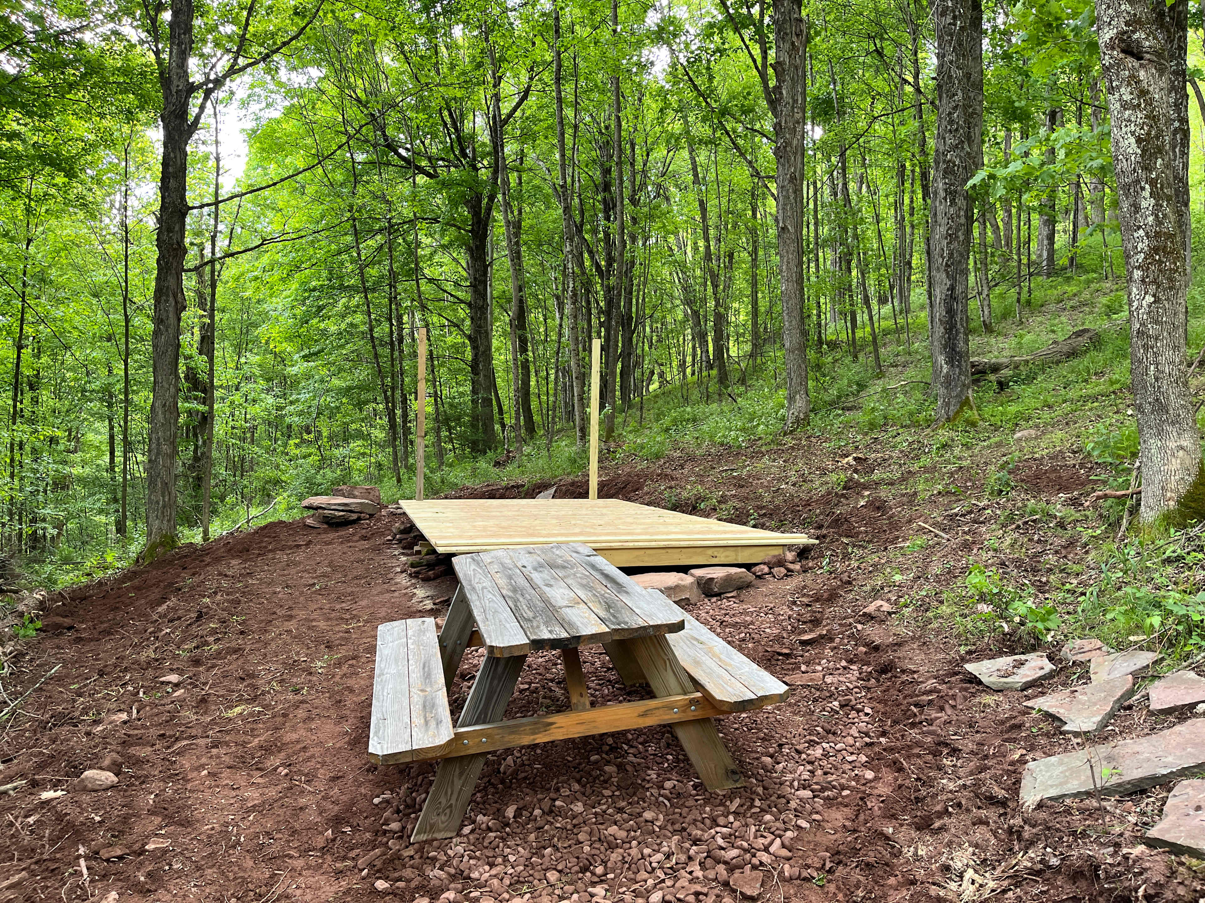 Picture of the site