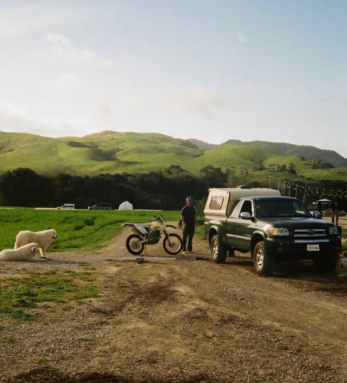 Picture of the site