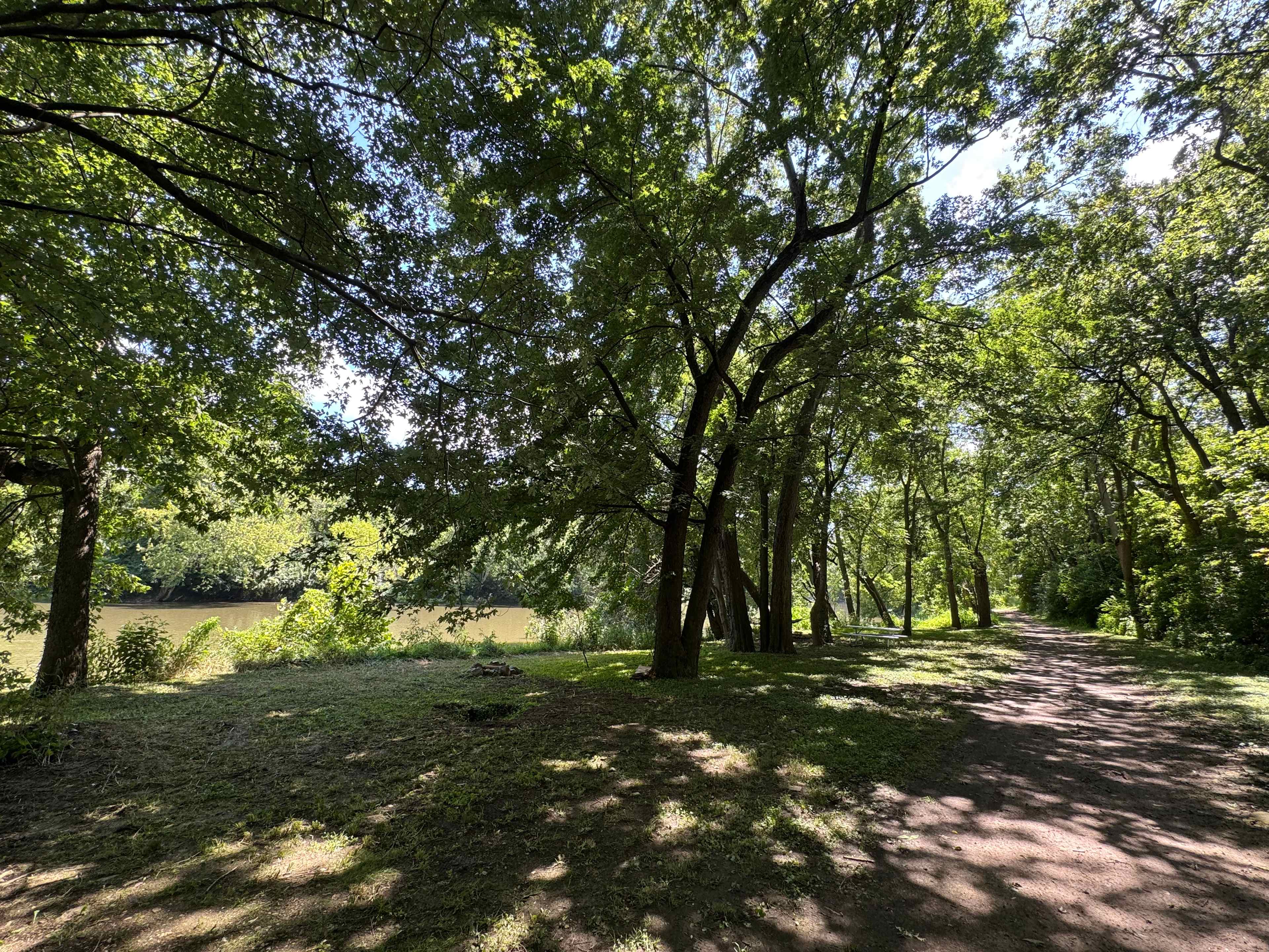 Picture of the site