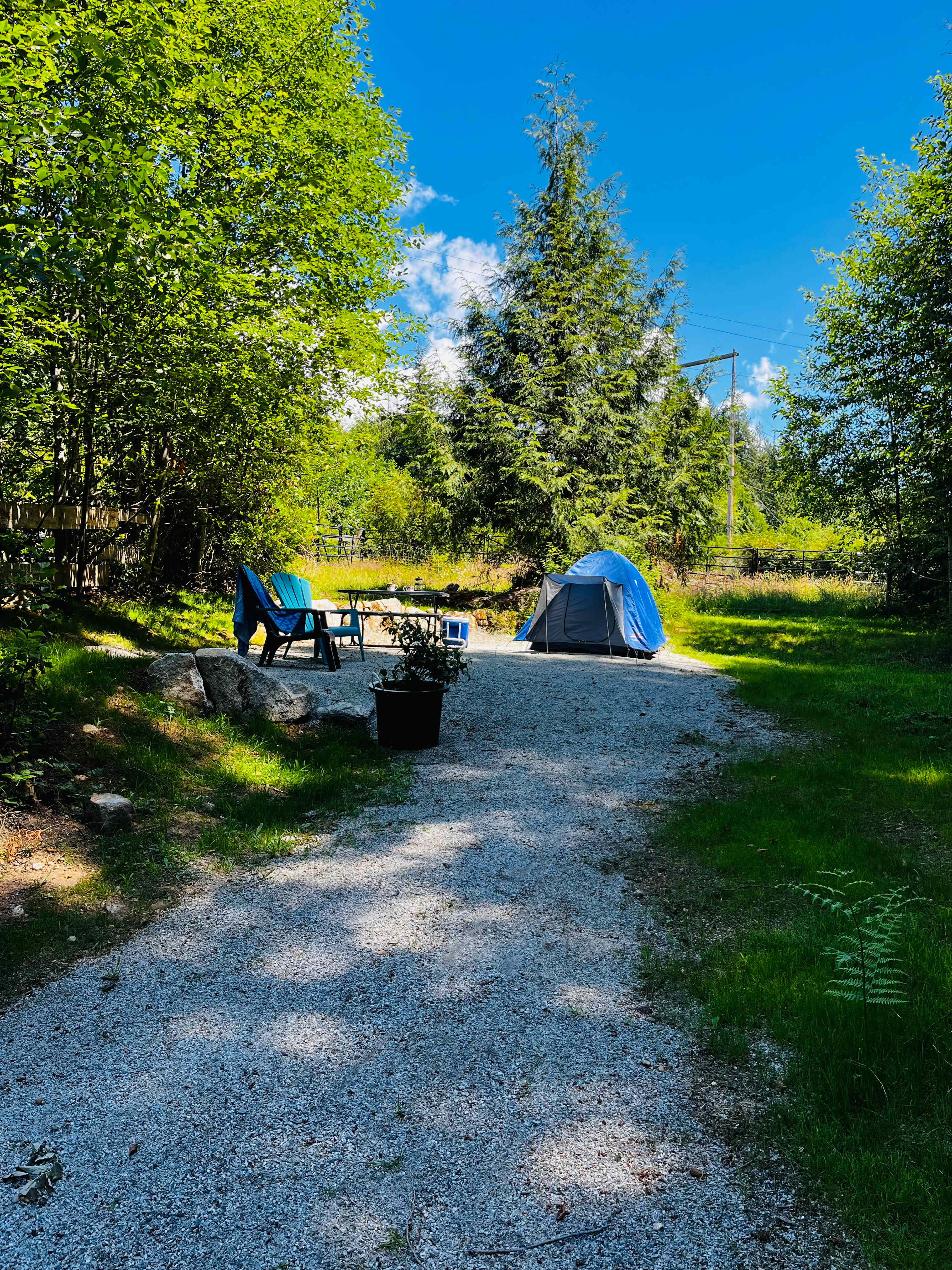Picture of the site