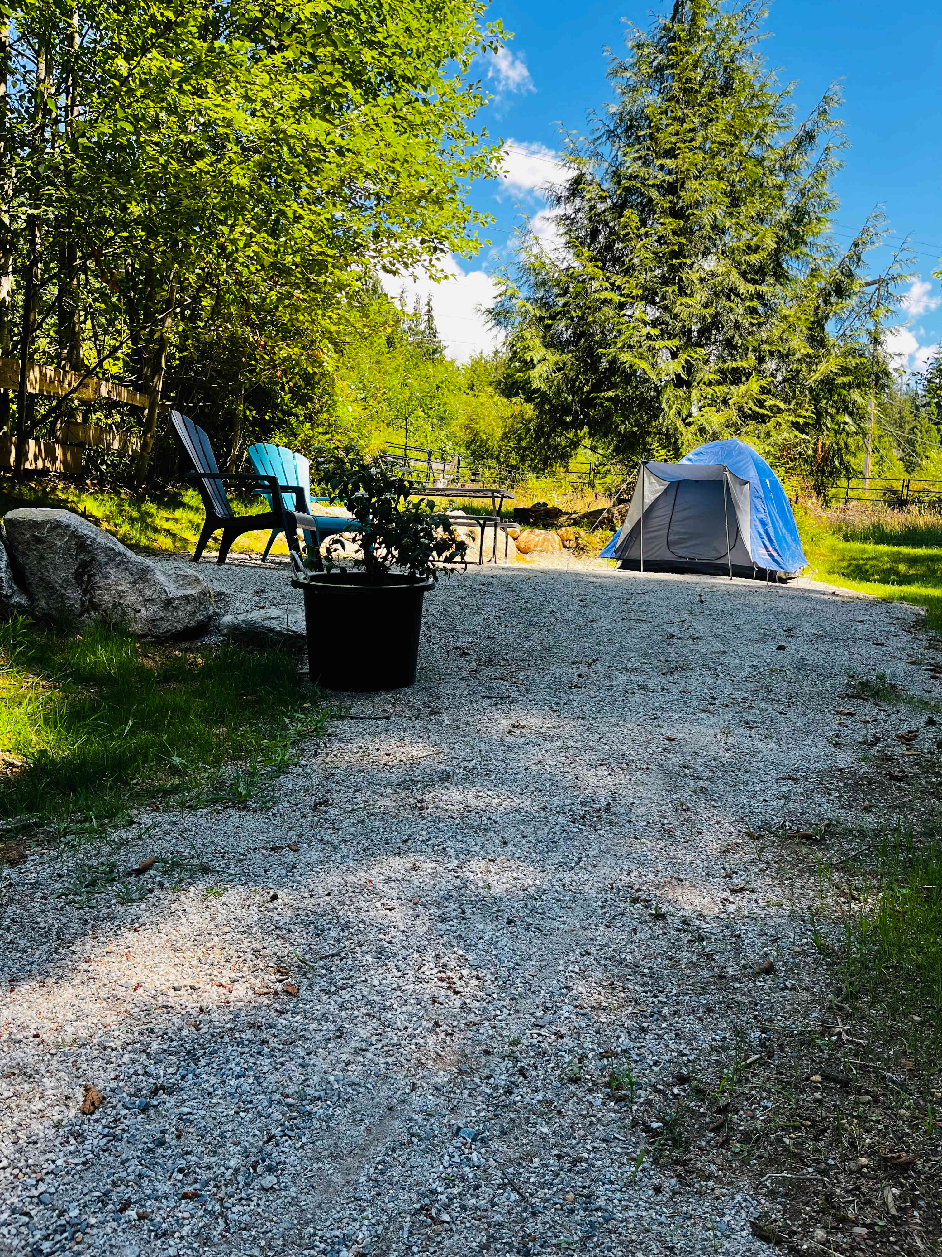 Picture of the site