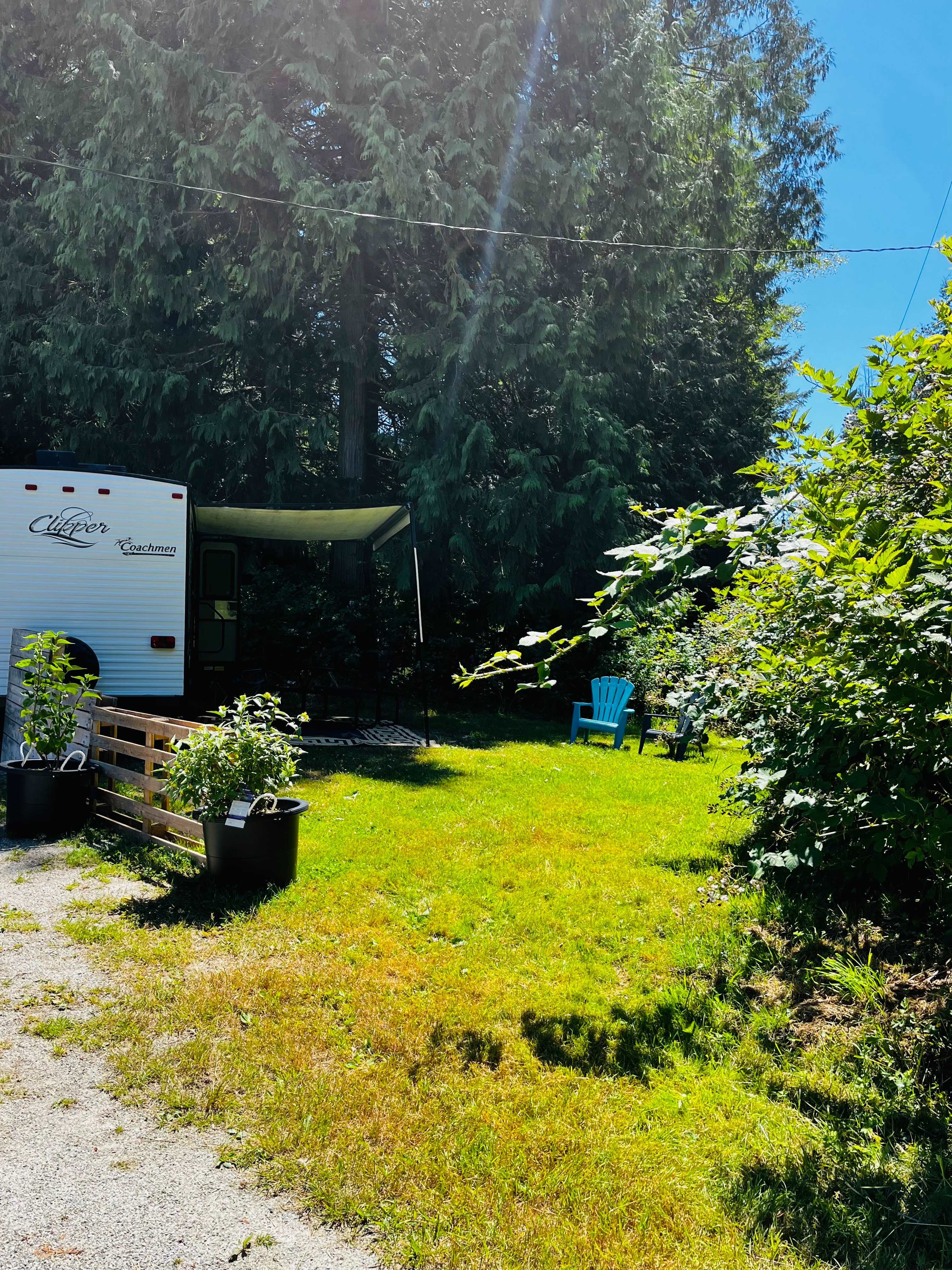 Picture of the site