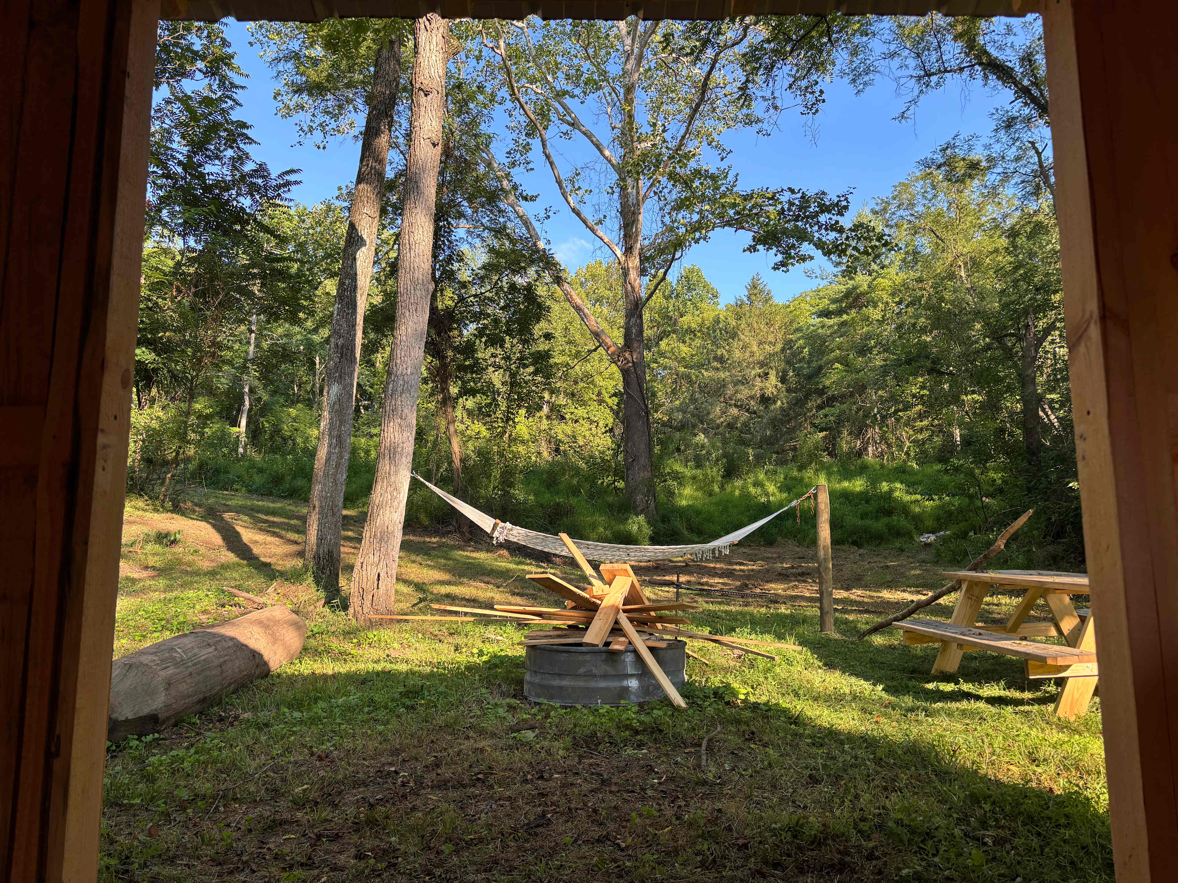 Picture of the site
