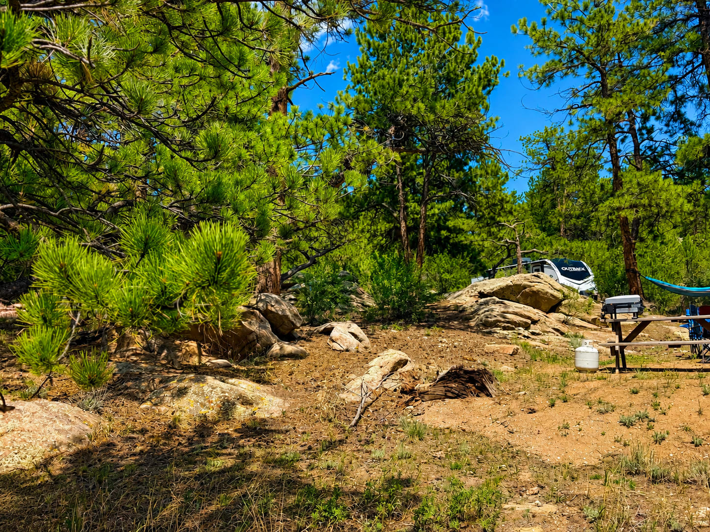 Picture of the site
