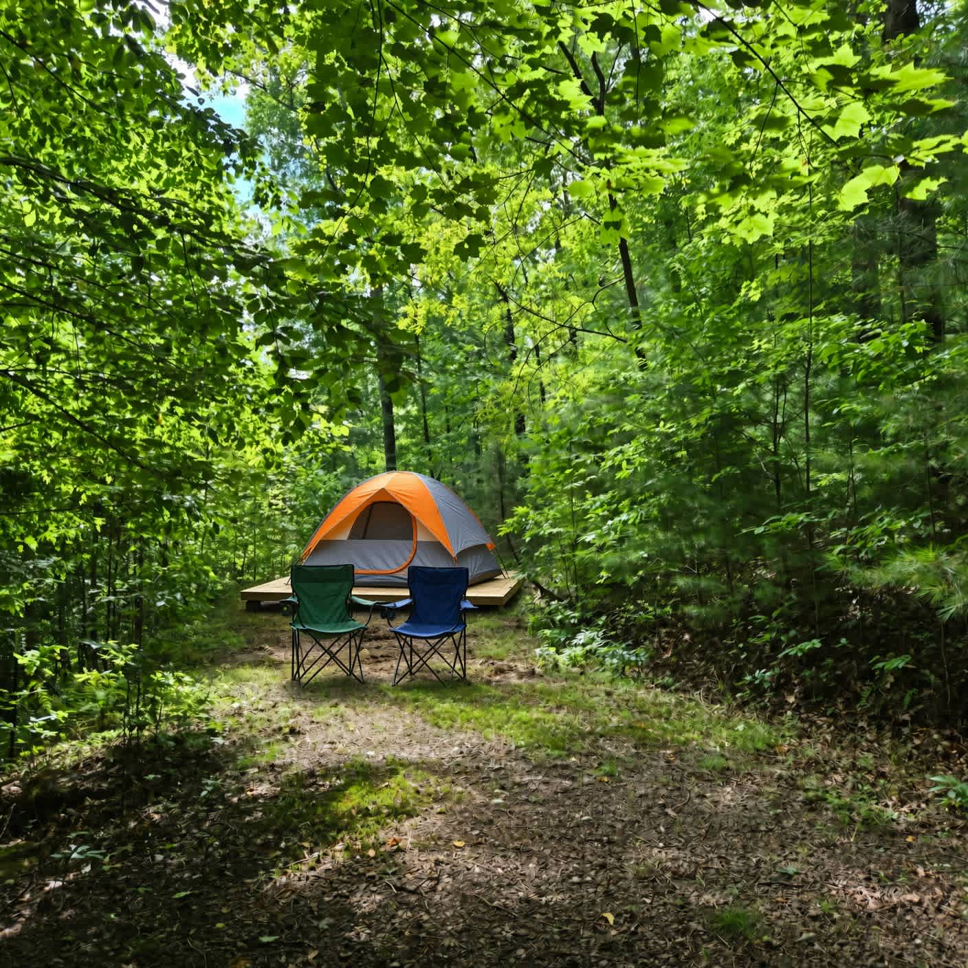 Picture of the site