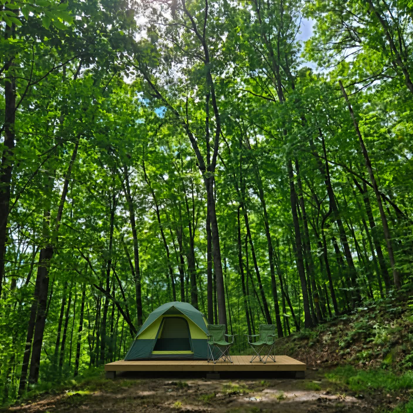 Picture of the site