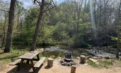 Picture of the site