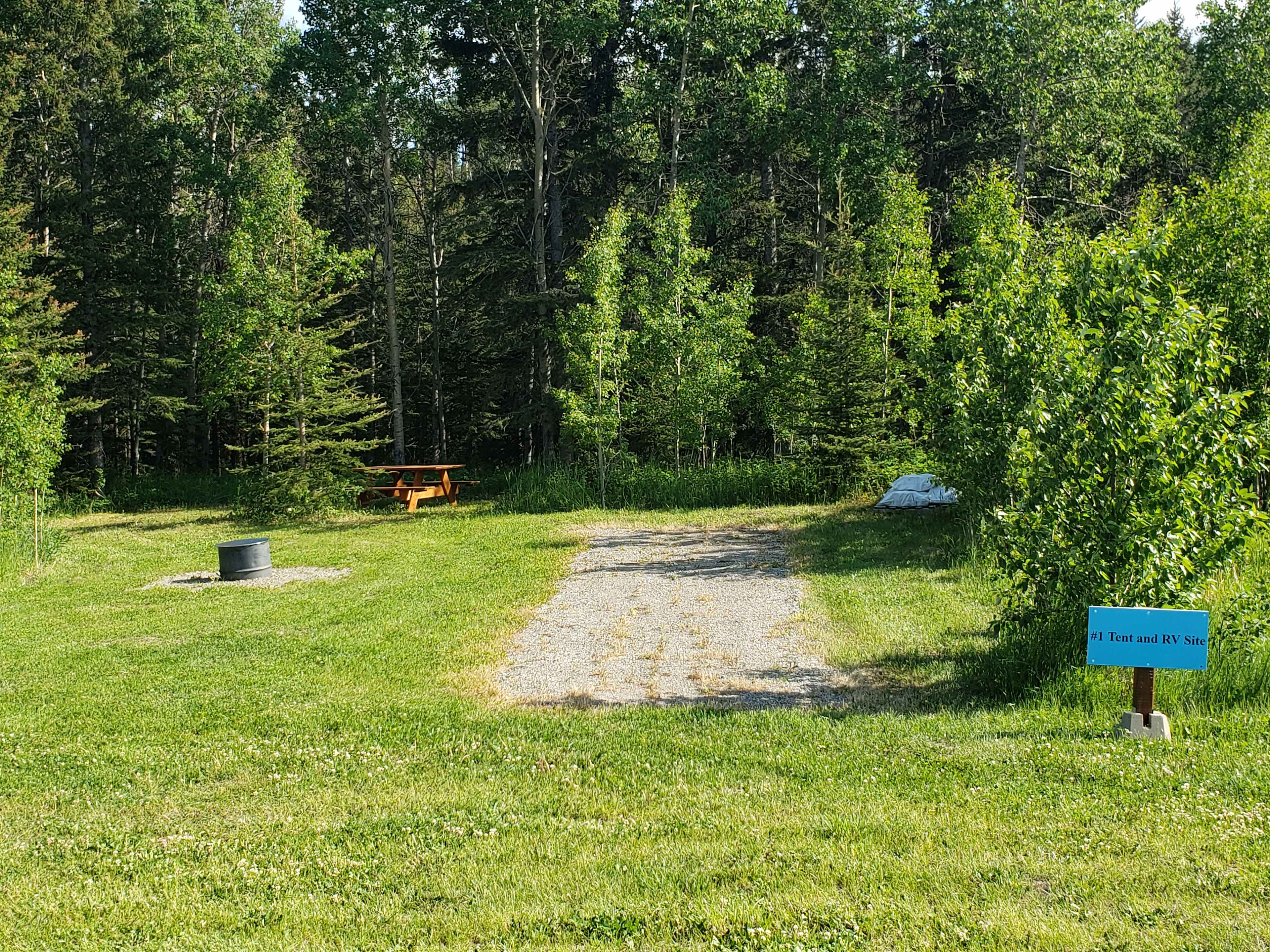 Picture of the site