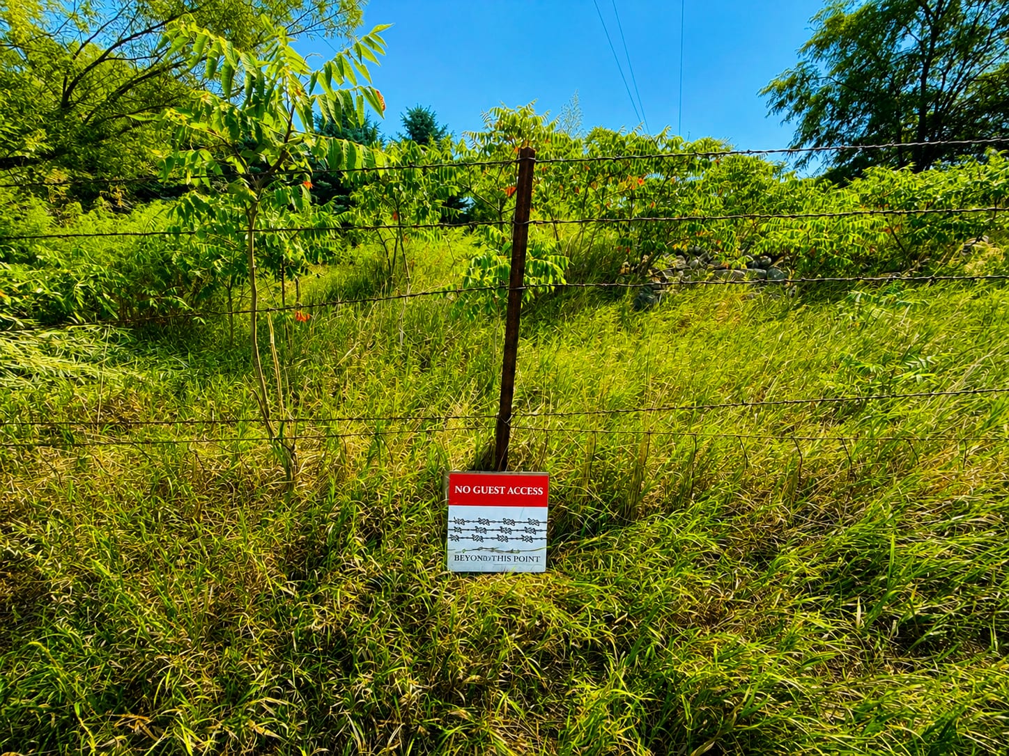 Picture of the site