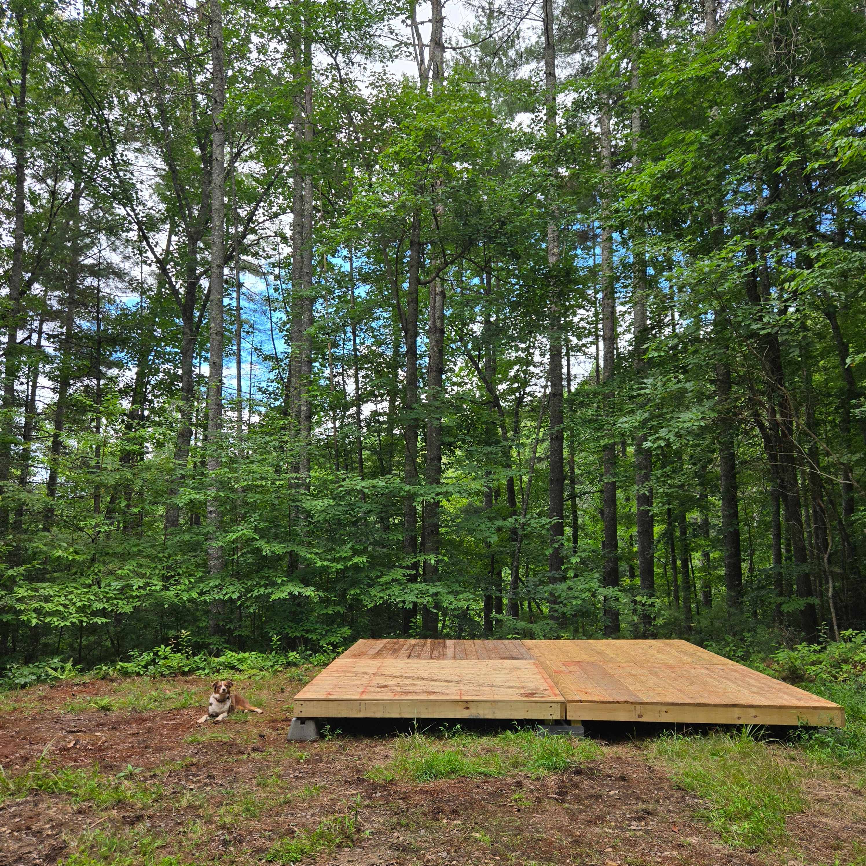 Picture of the site