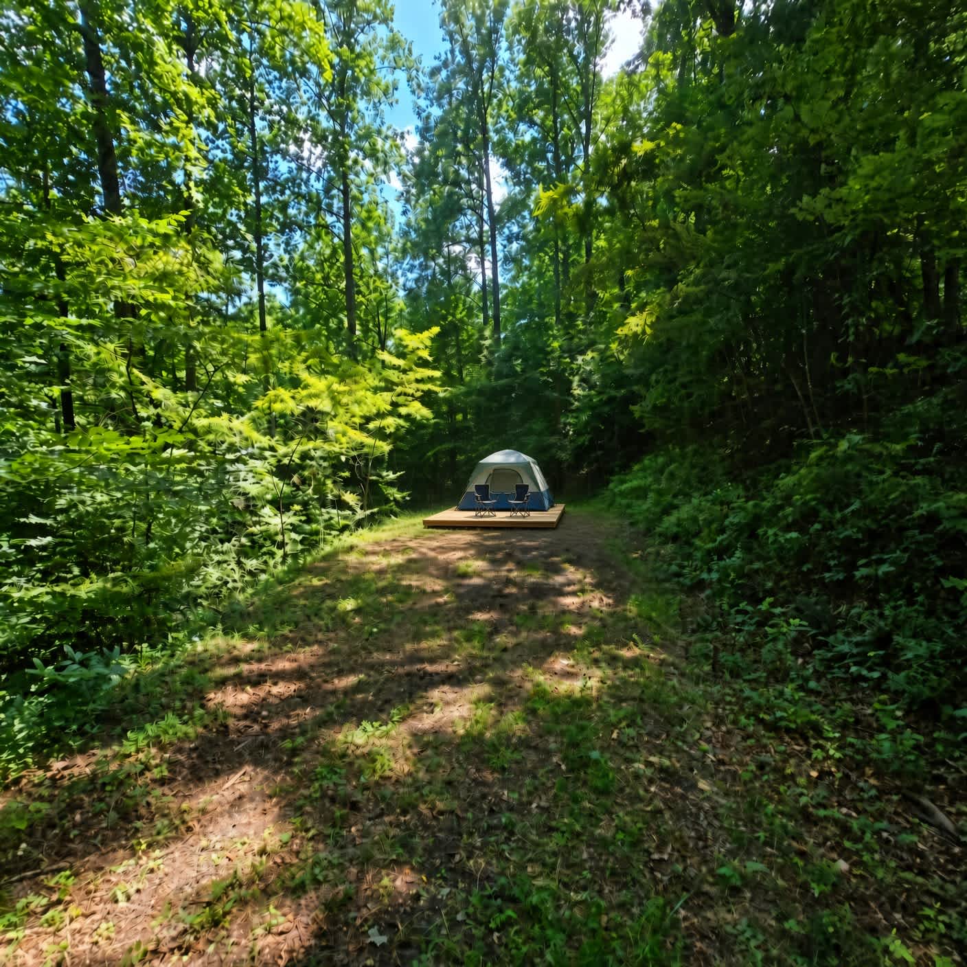 Picture of the site