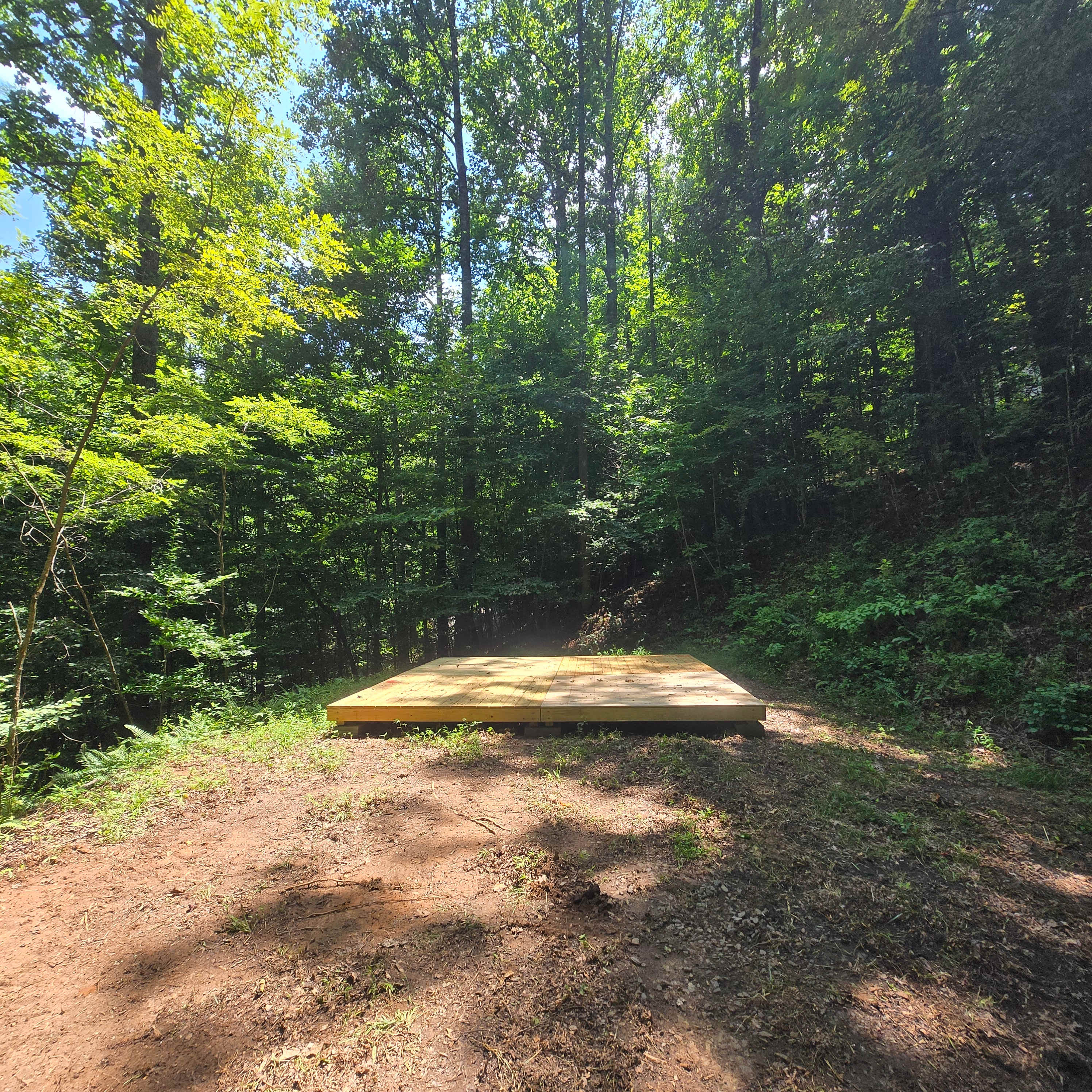 Picture of the site