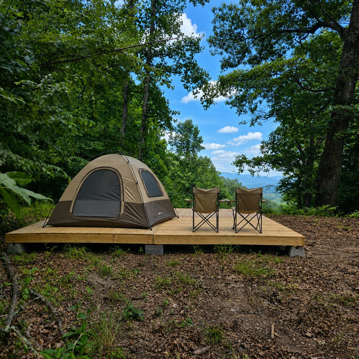 Picture of the site