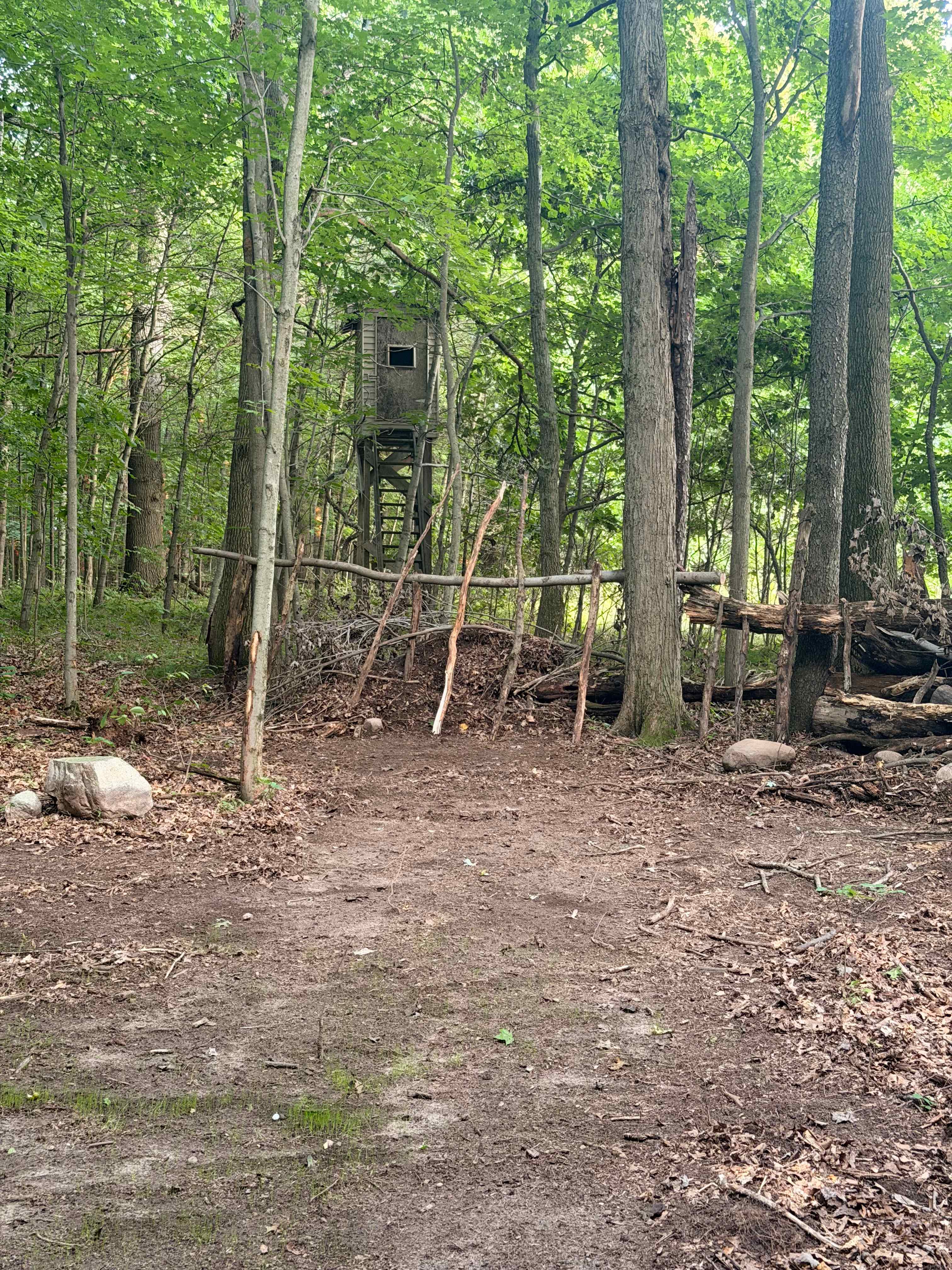 Picture of the site