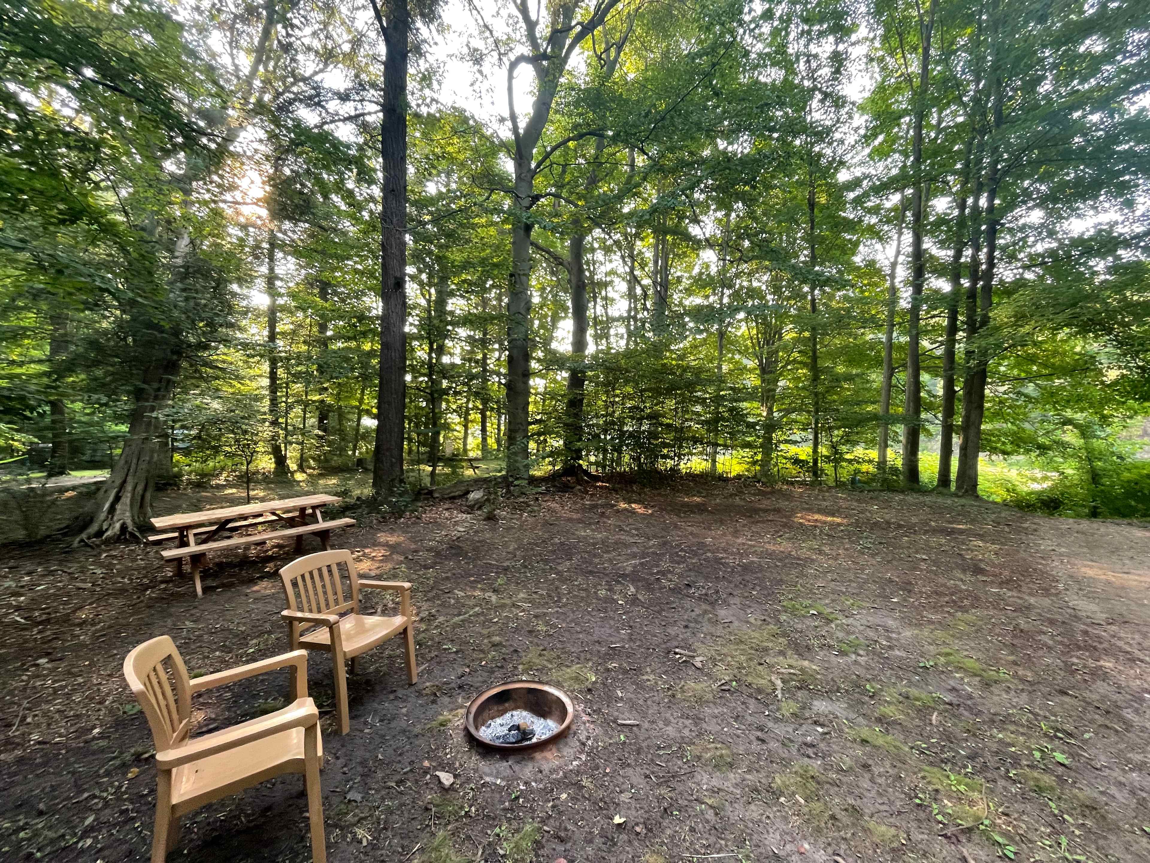 Picture of the site