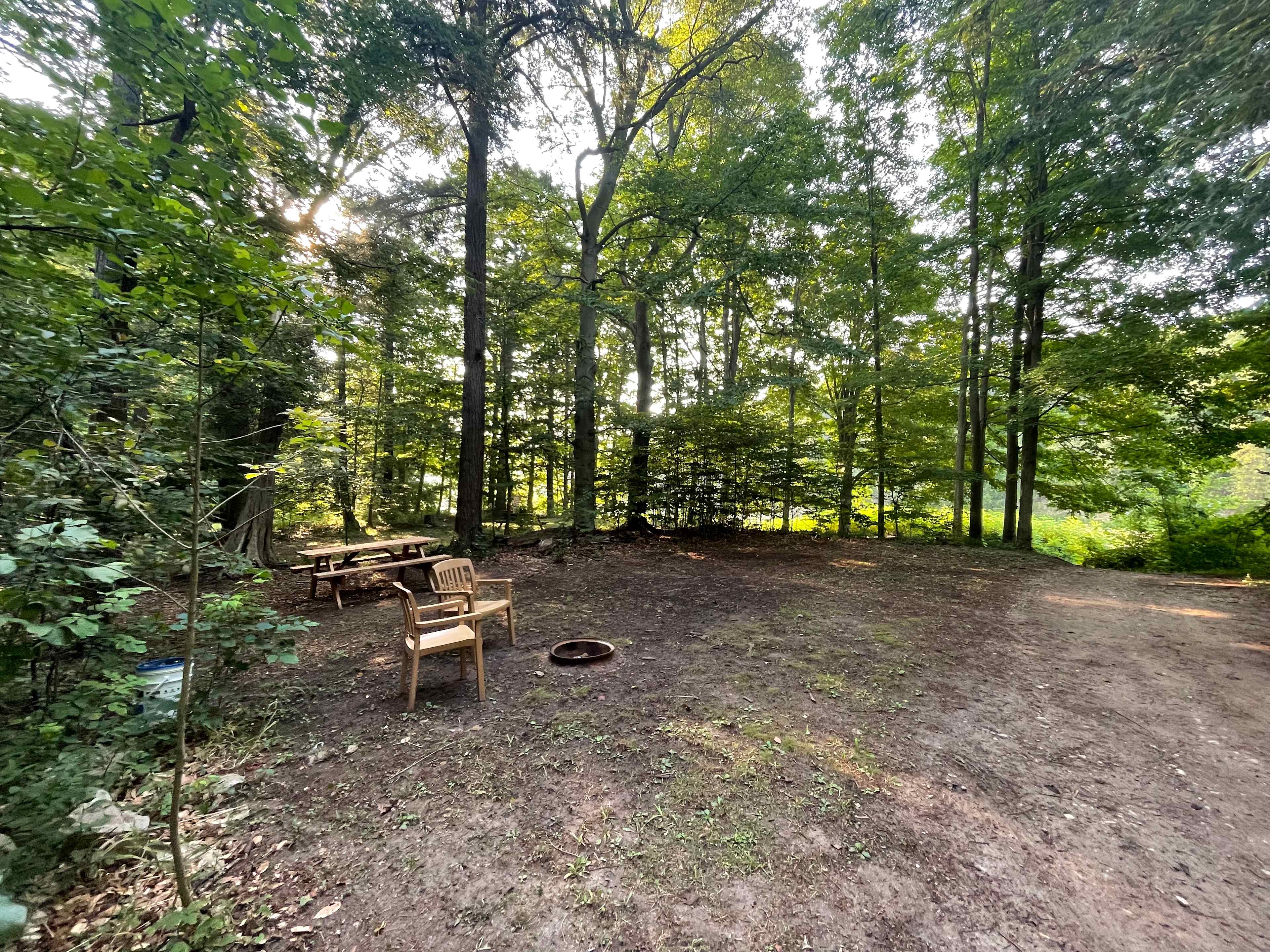 Picture of the site