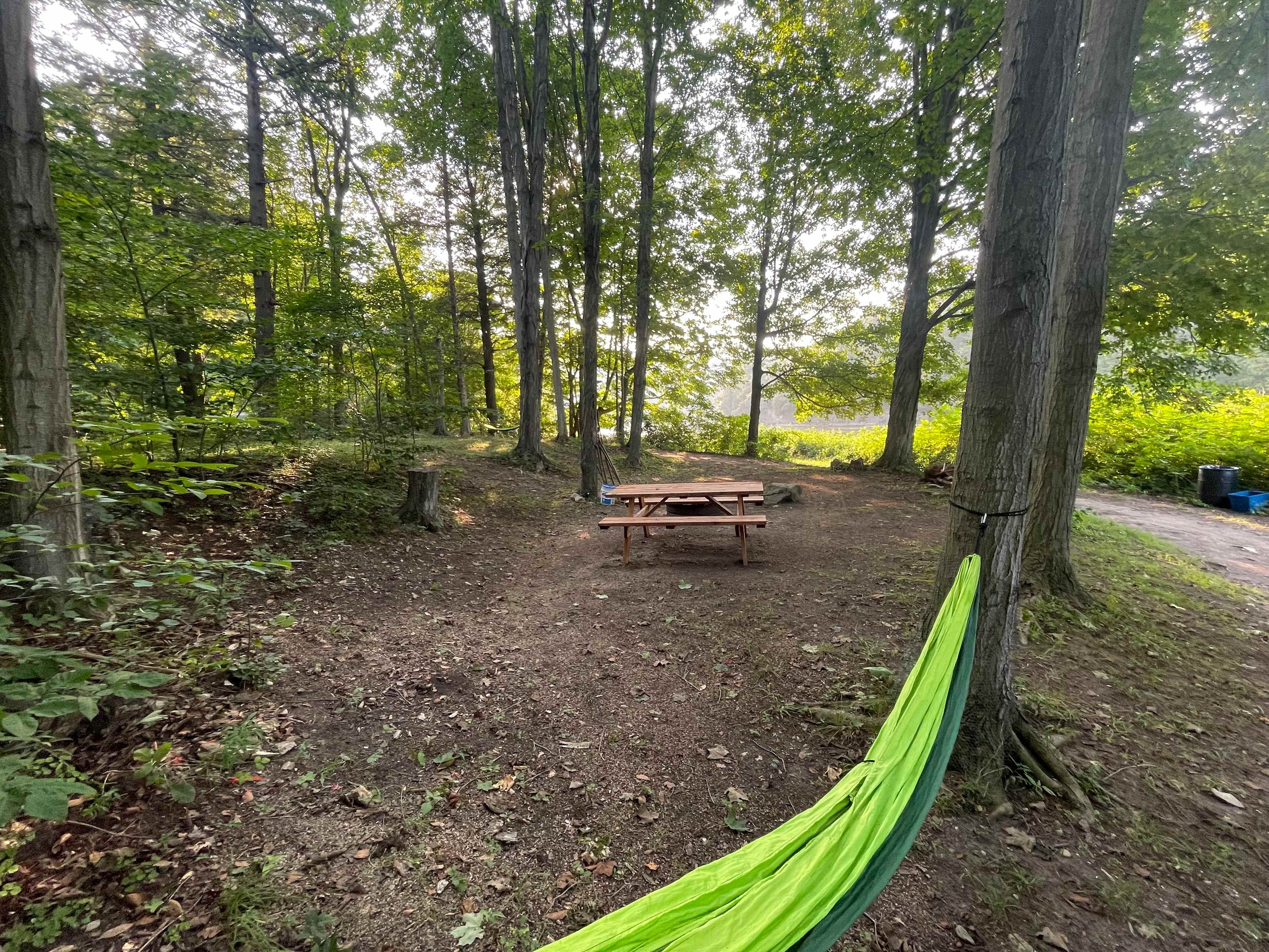Picture of the site