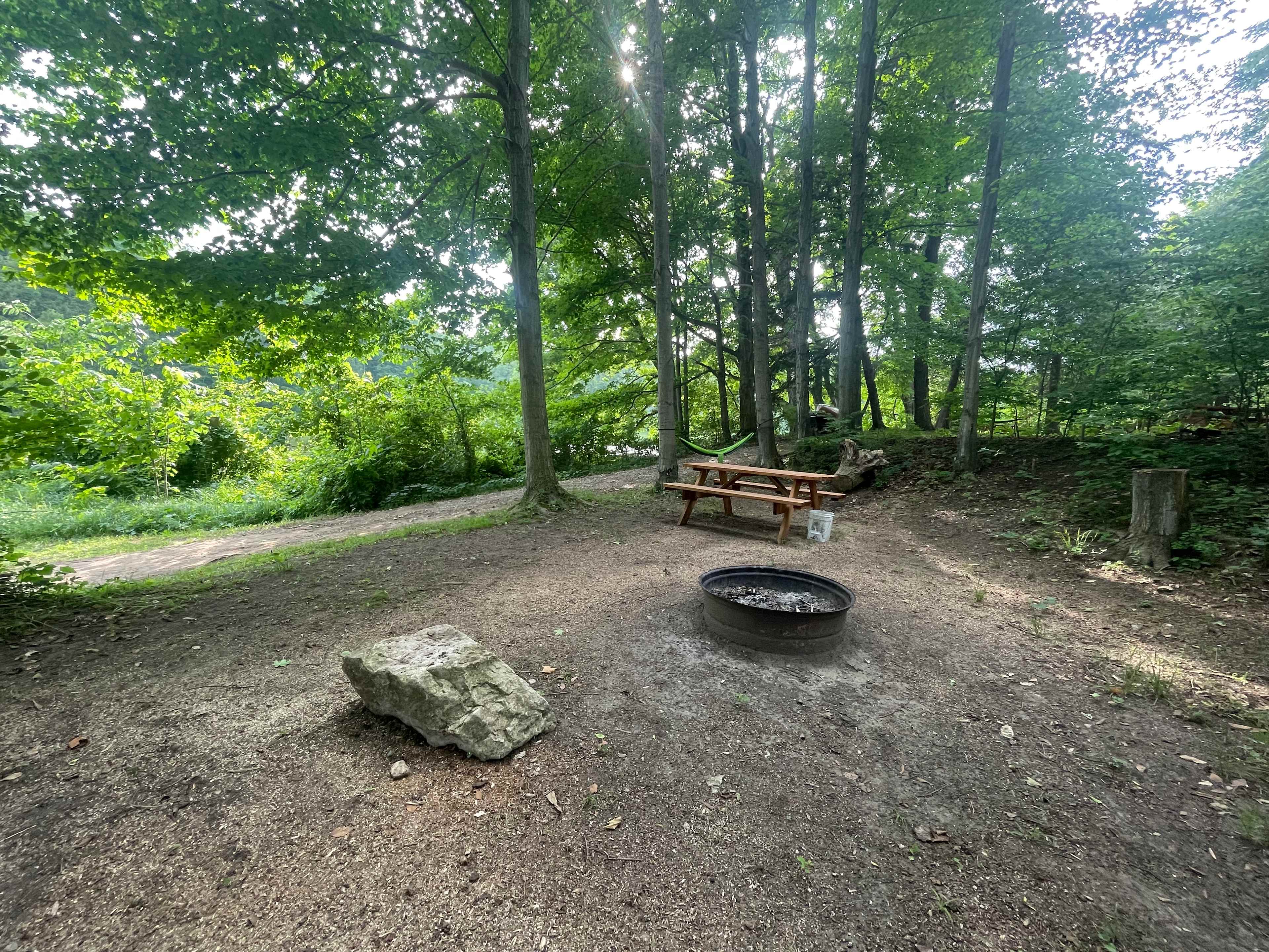 Picture of the site