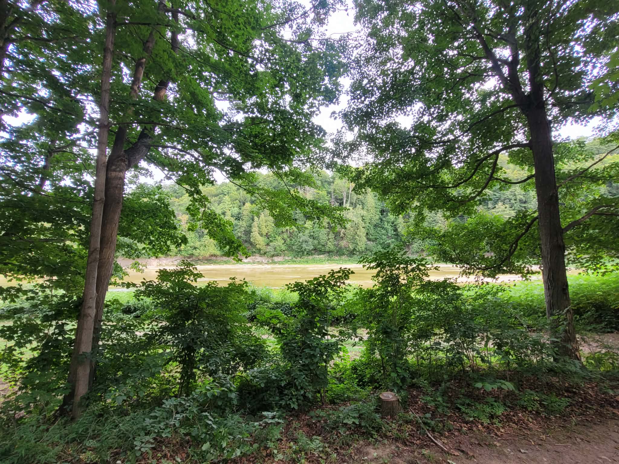Picture of the site